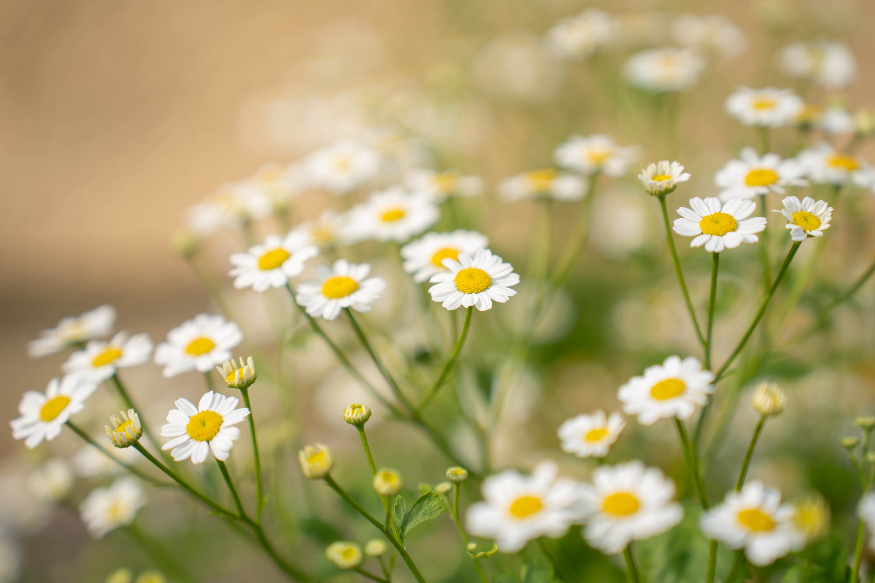 Leaving the photography intimidation behind