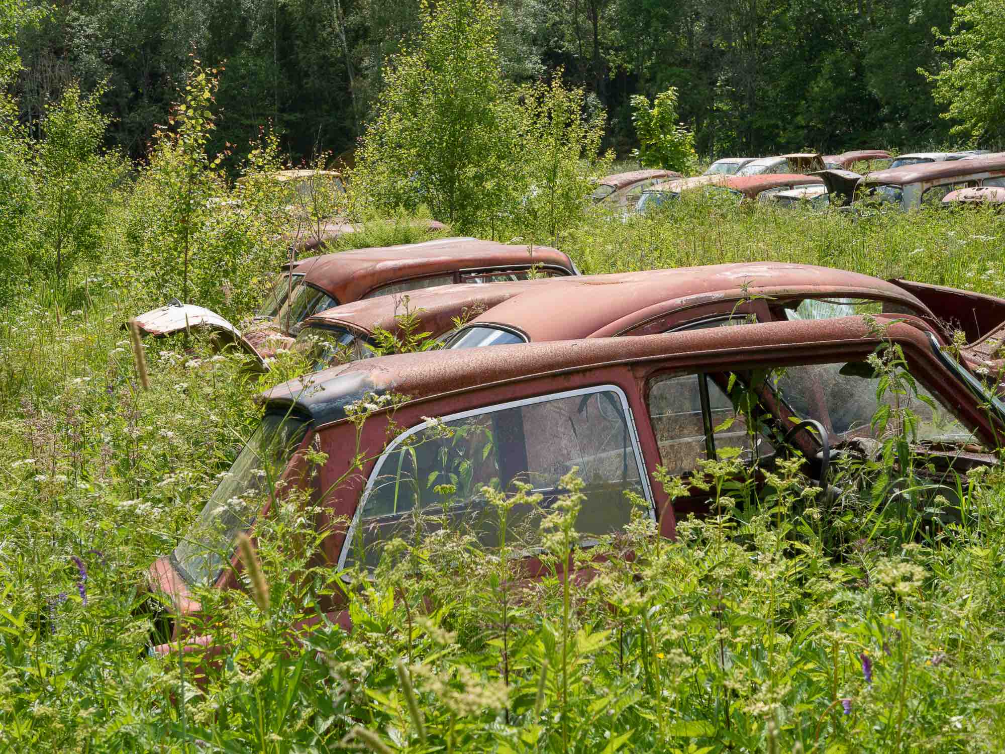 Båstnässkroten - the car cemetery