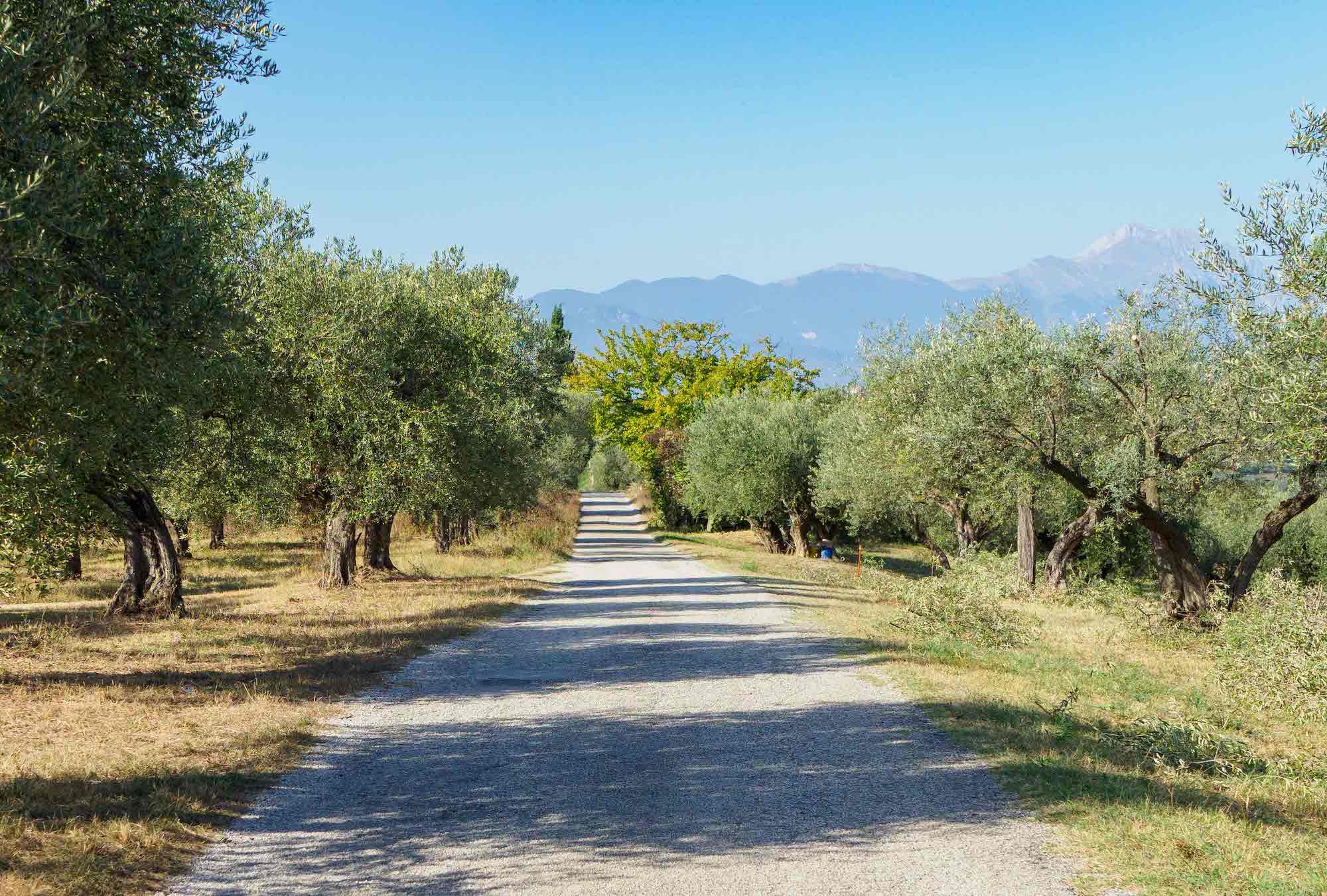 Abruzzo