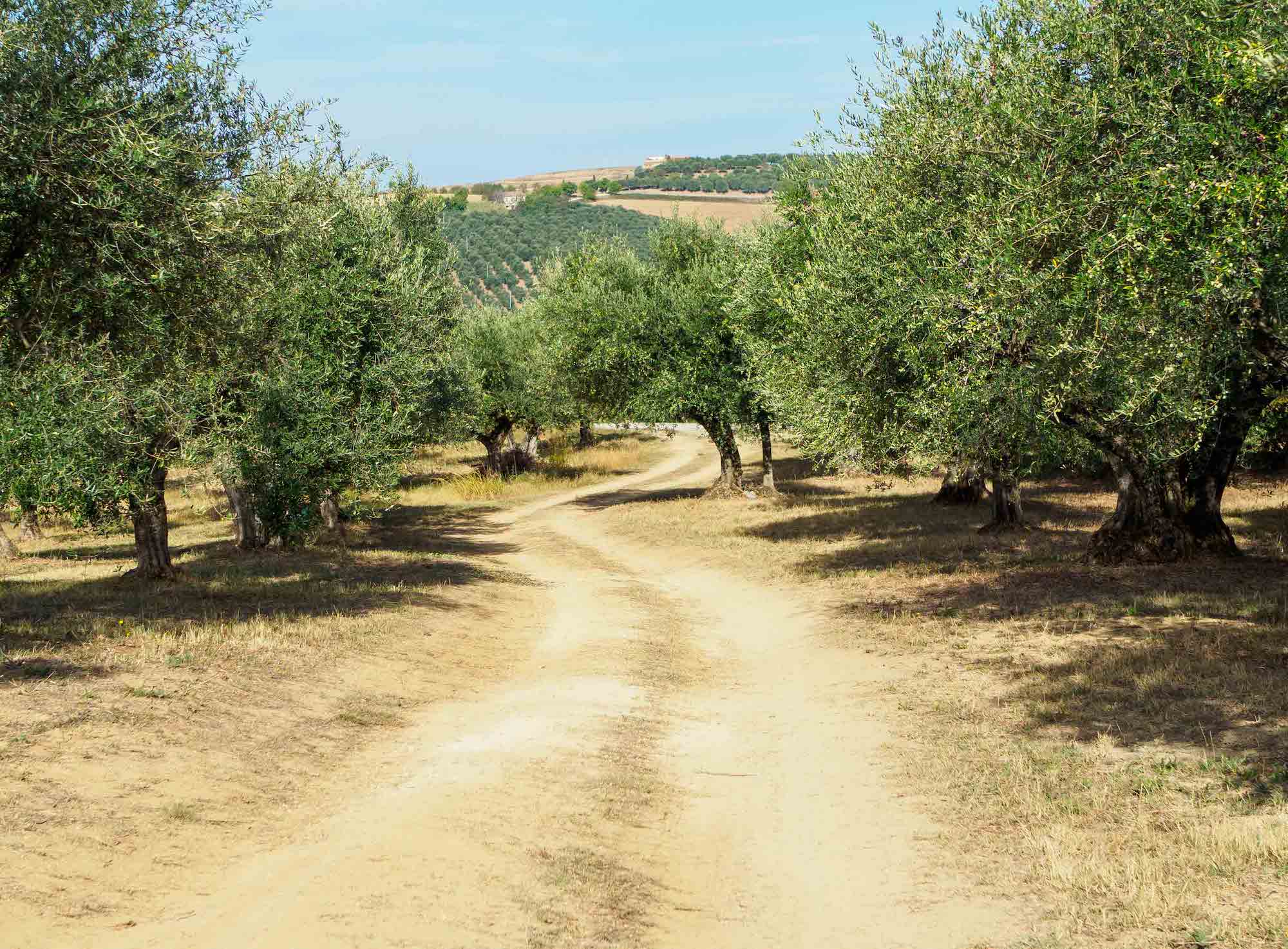 Abruzzo