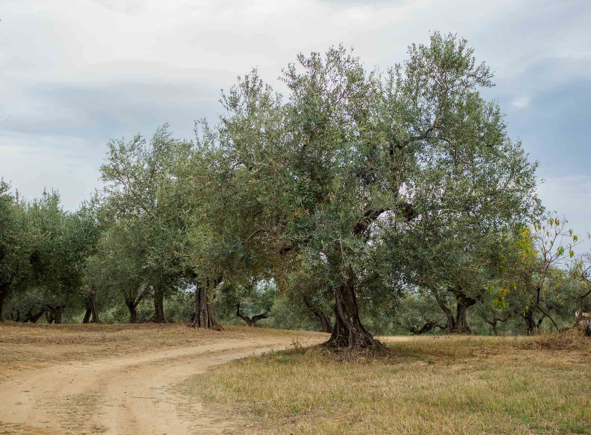 Abruzzo
