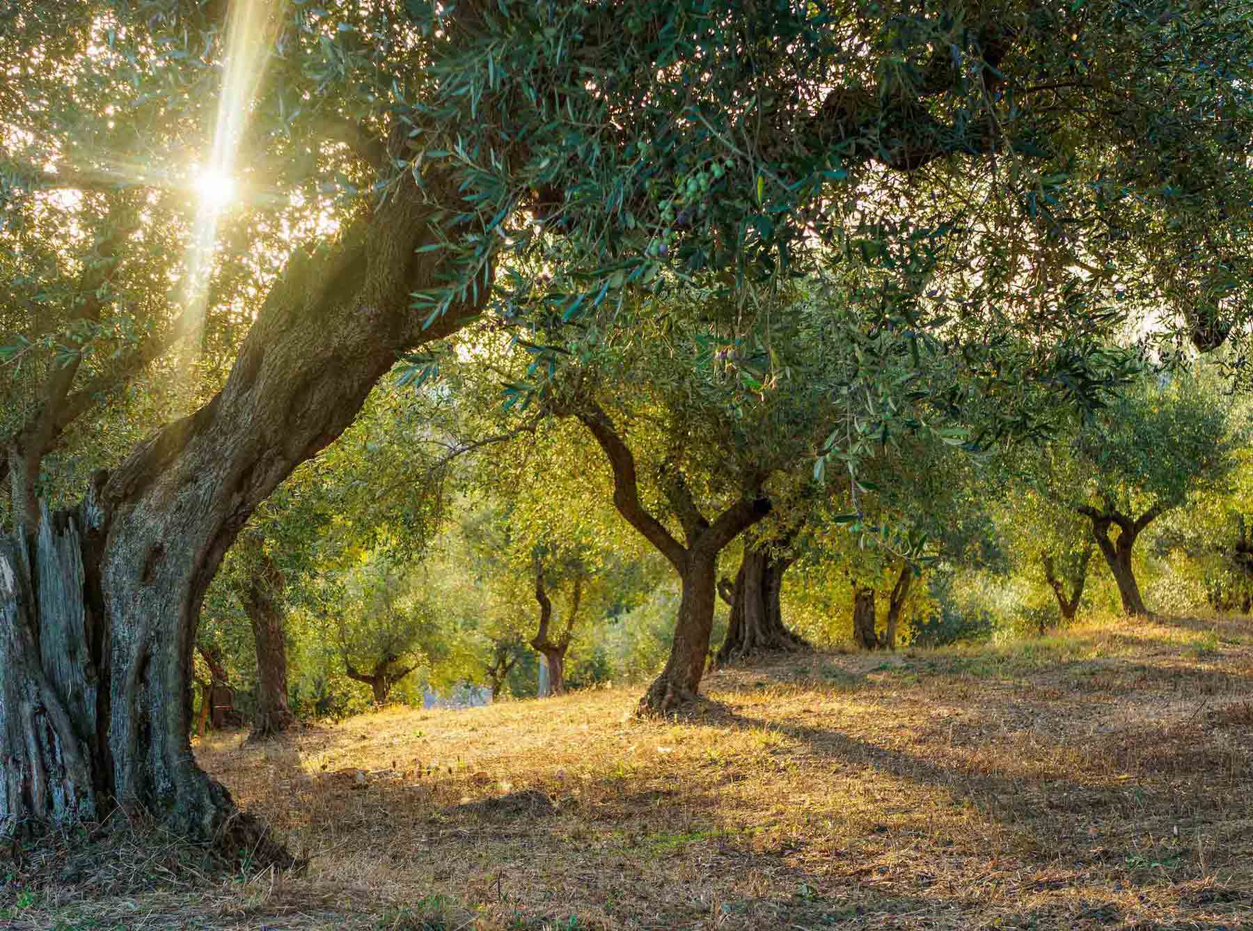 Abruzzo