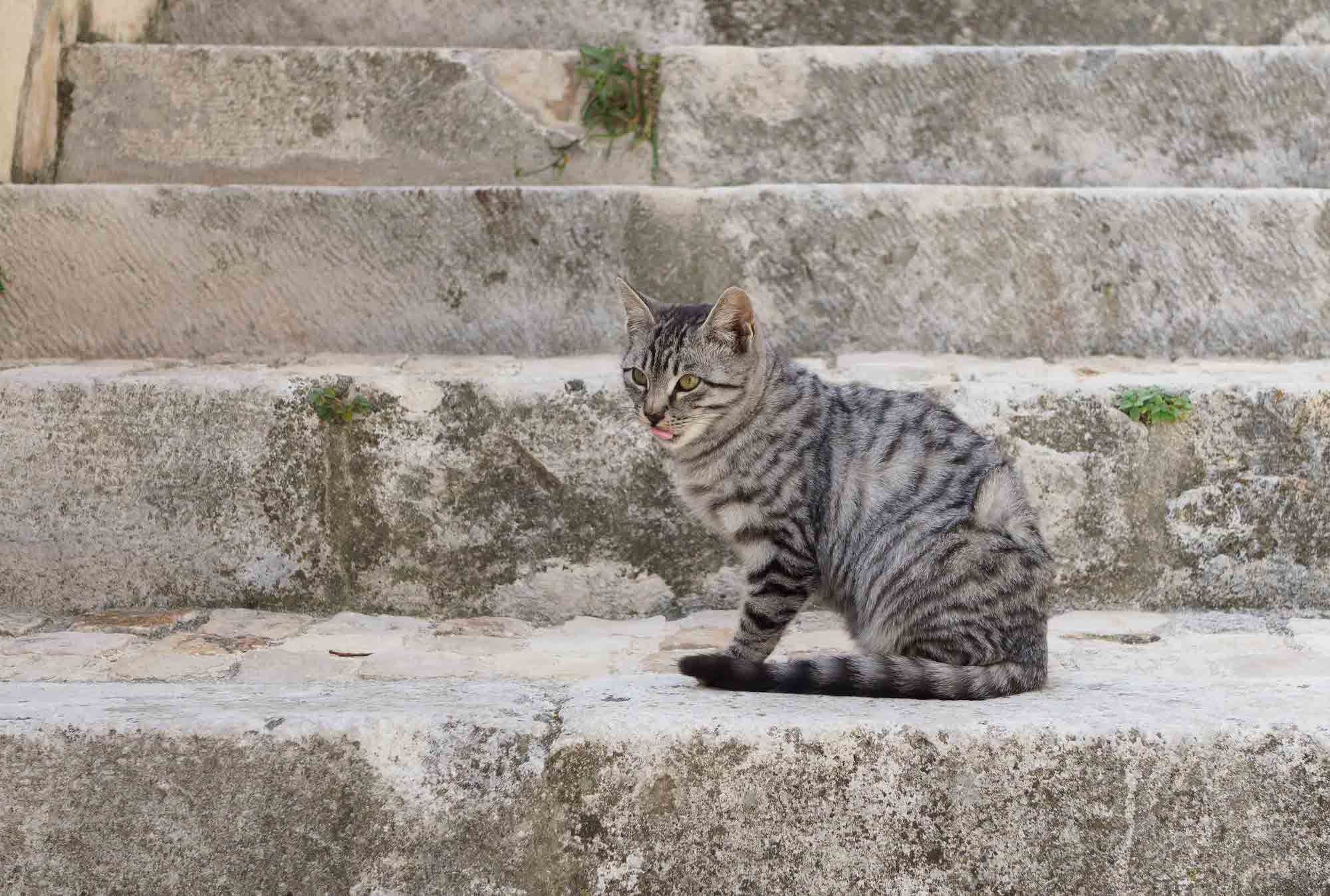 Abruzzo