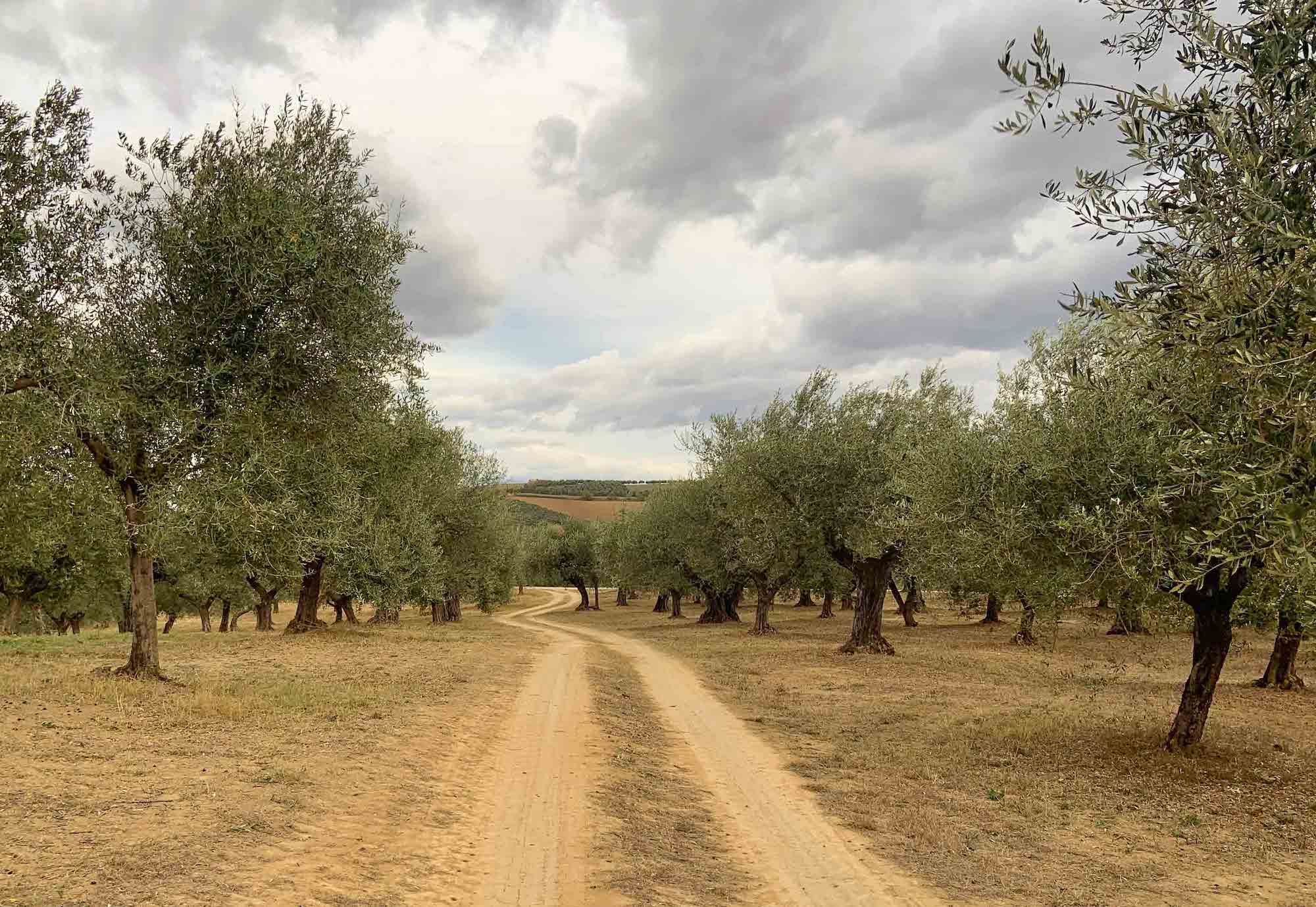 Abruzzo