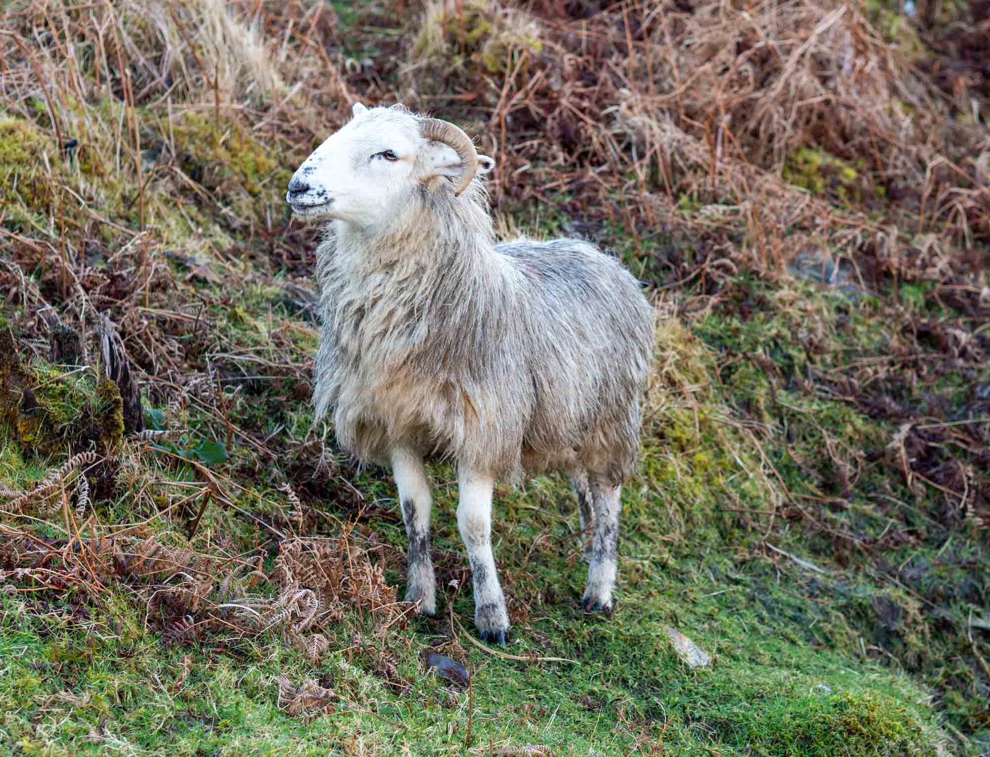 West Cork