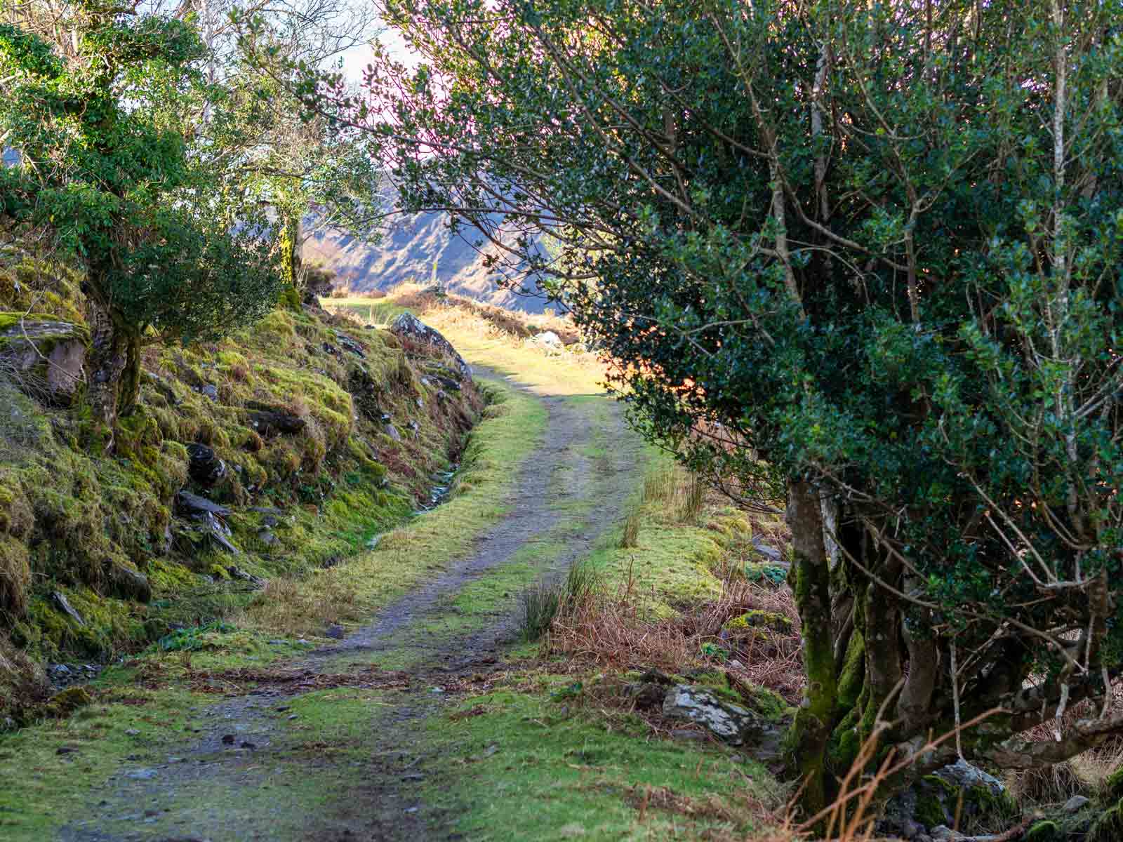 West Cork