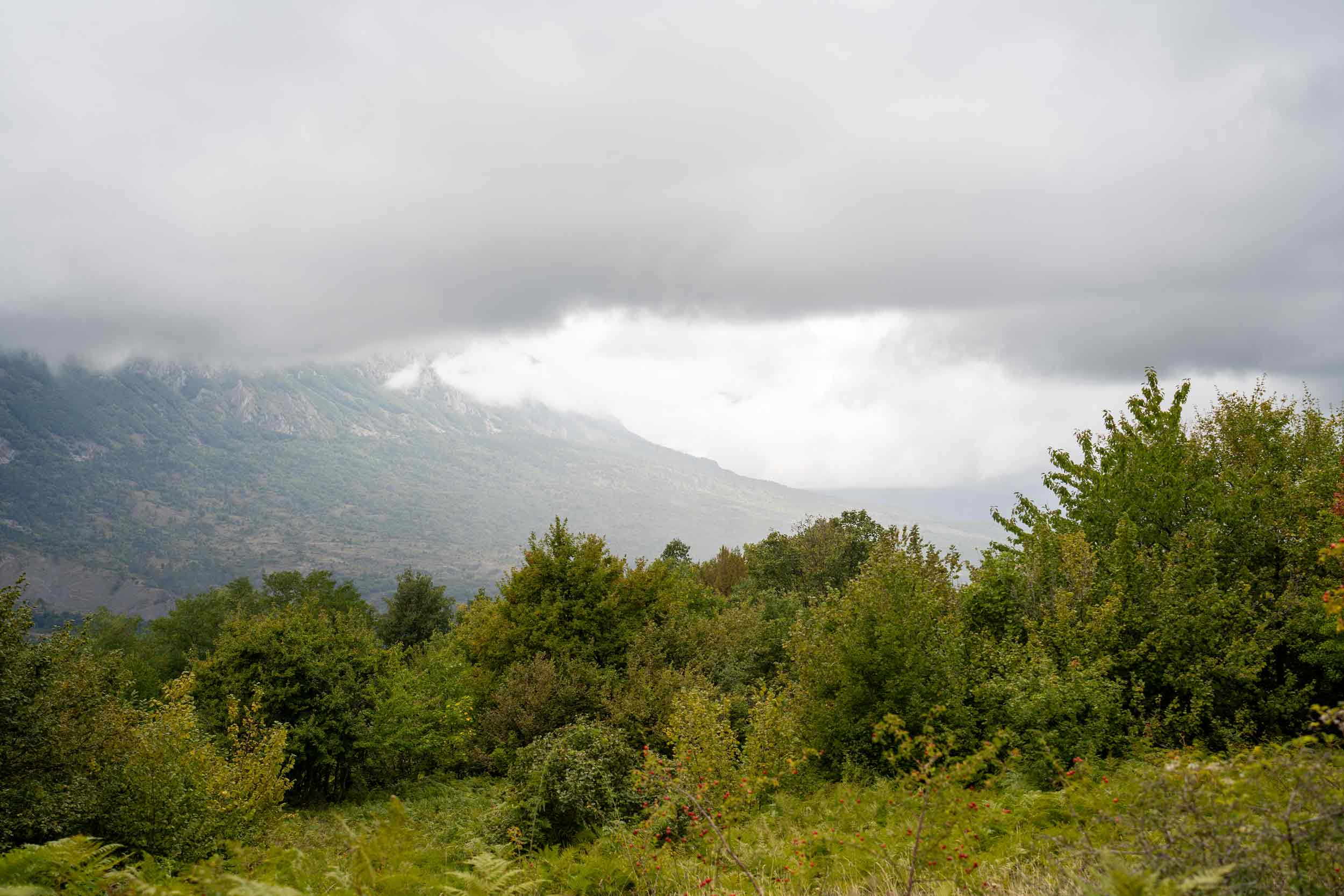 Bosco di Lama Bianca