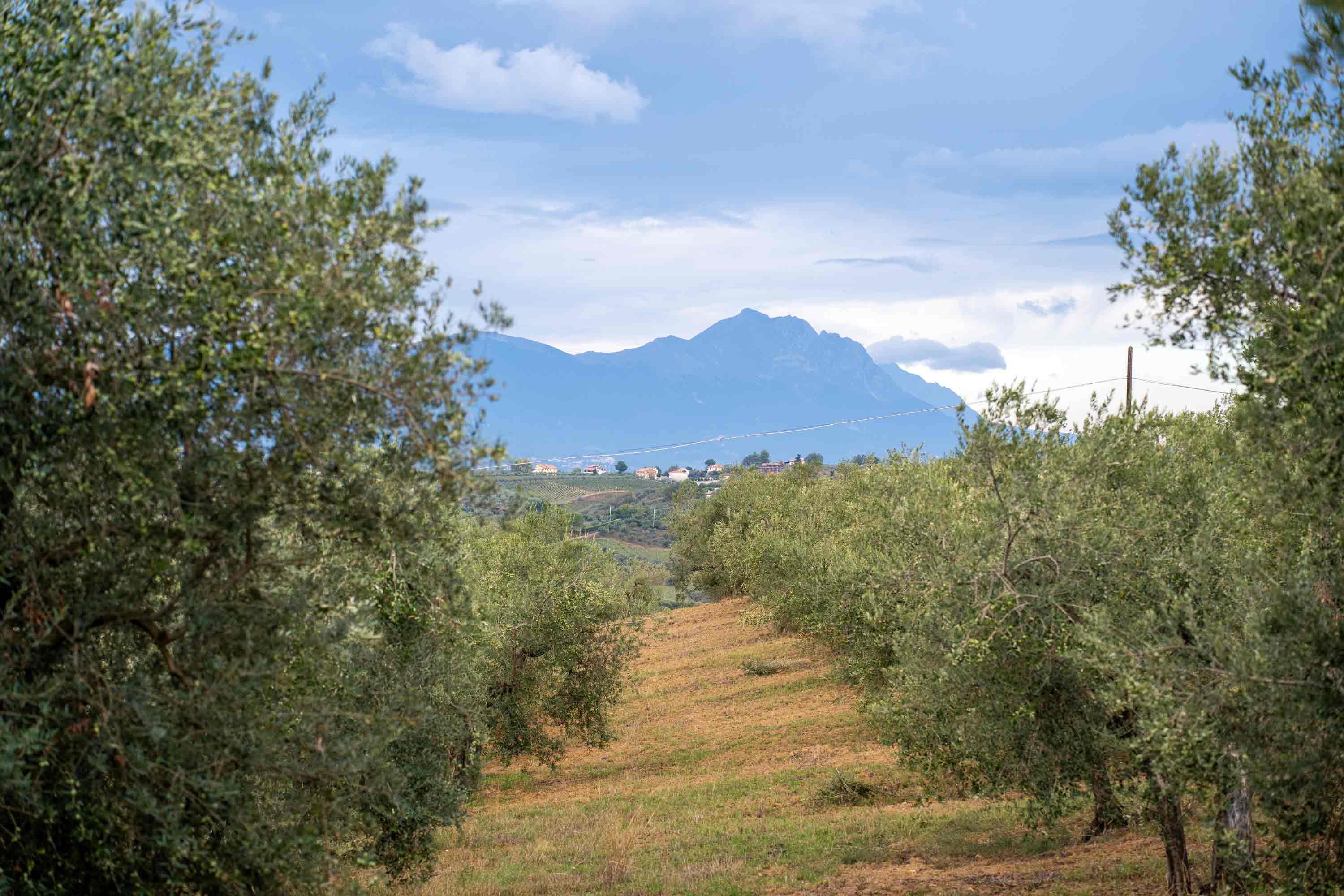 Abruzzo
