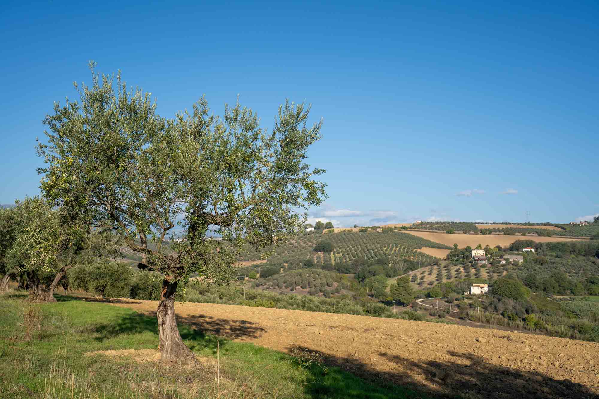 Abruzzo