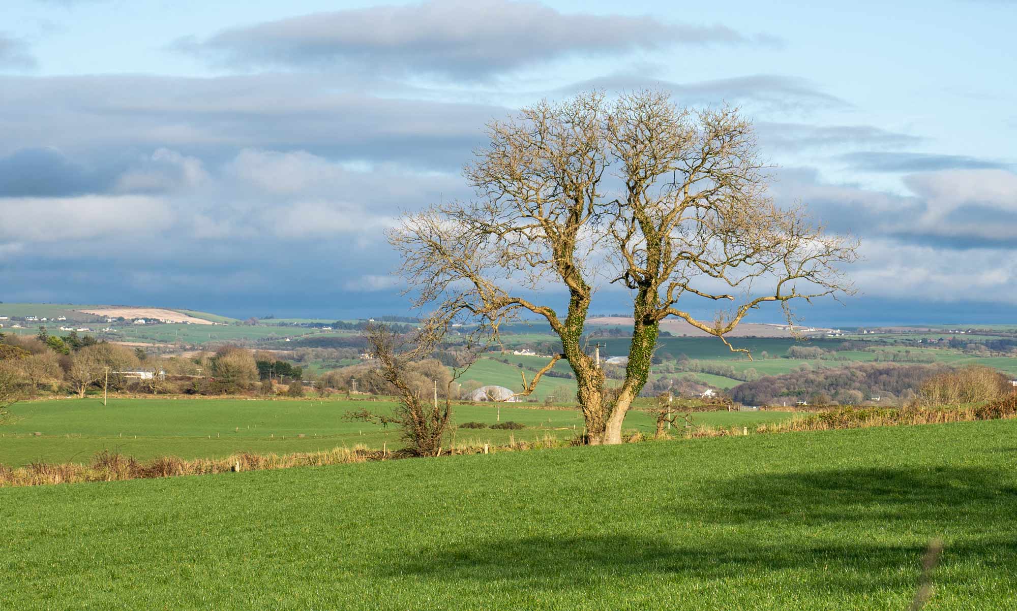 West Cork