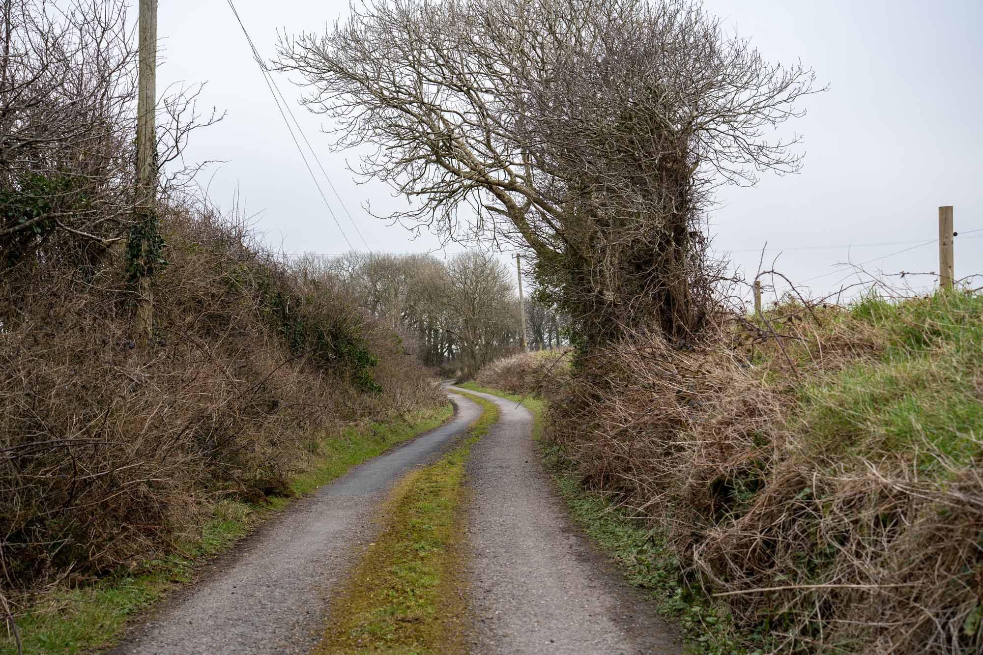 West Cork