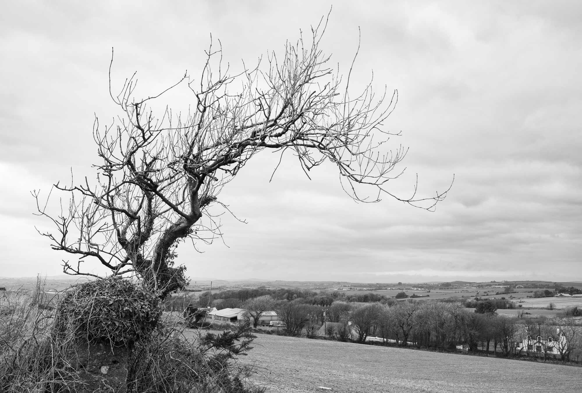 West Cork