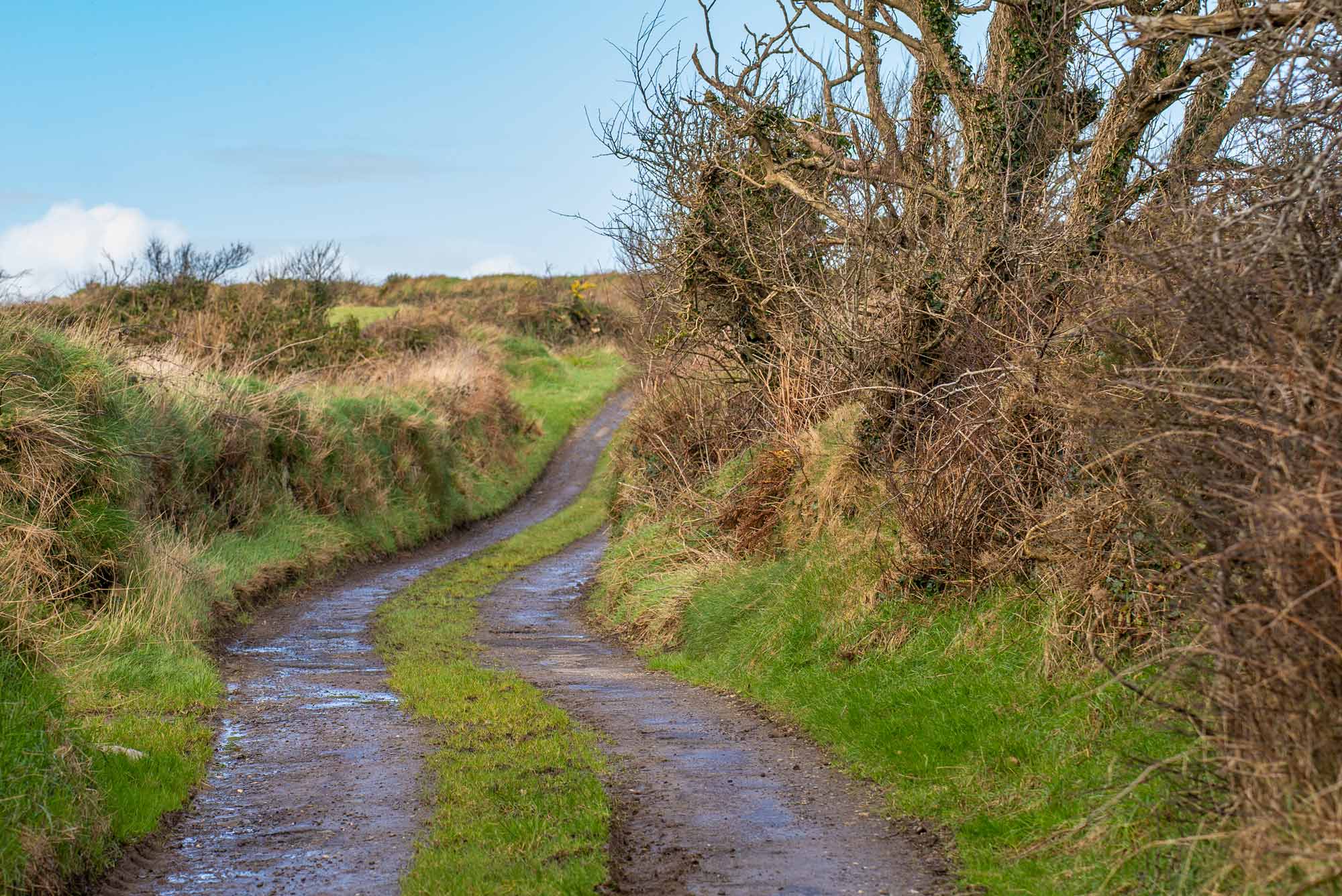 West Cork
