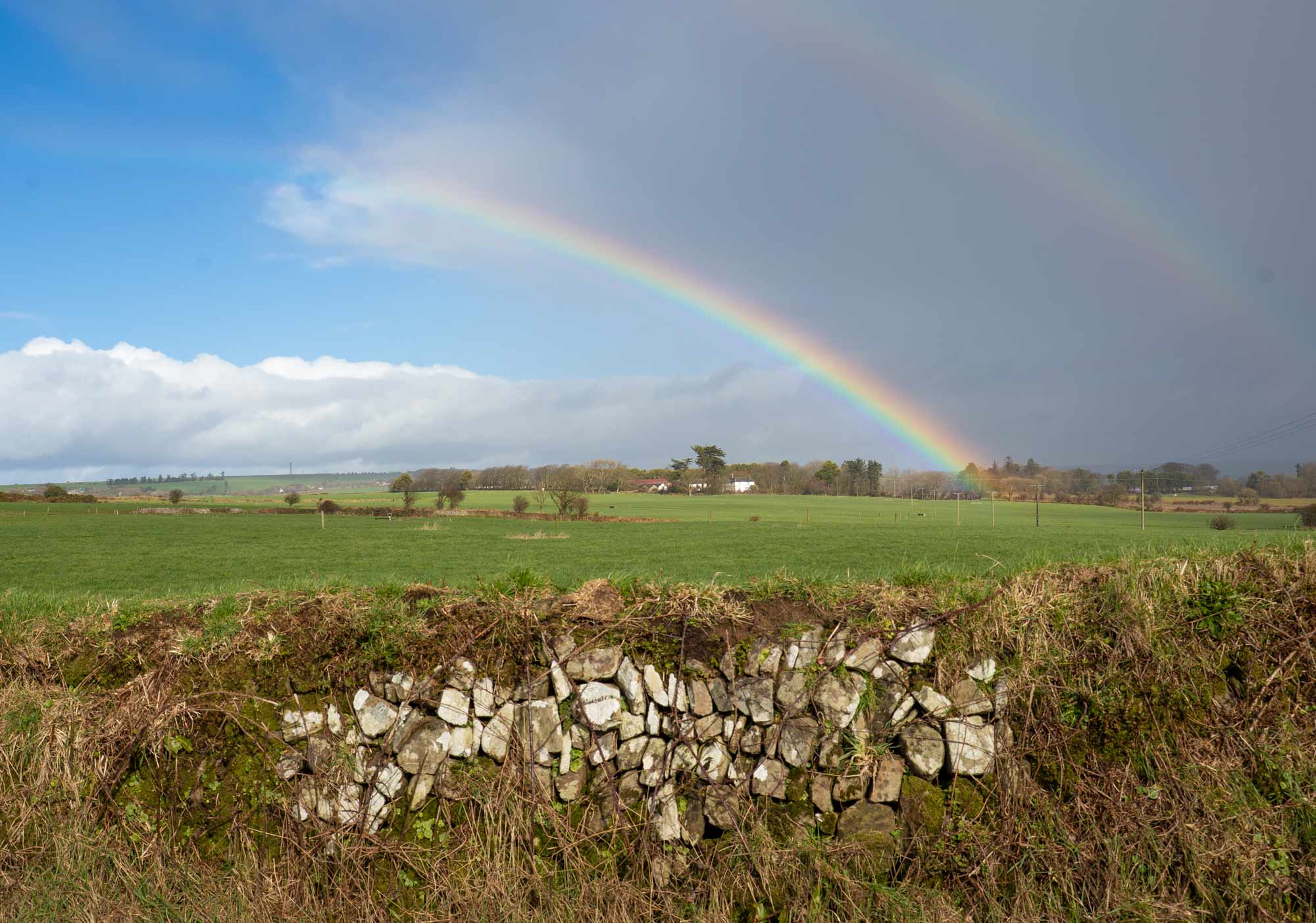West Cork