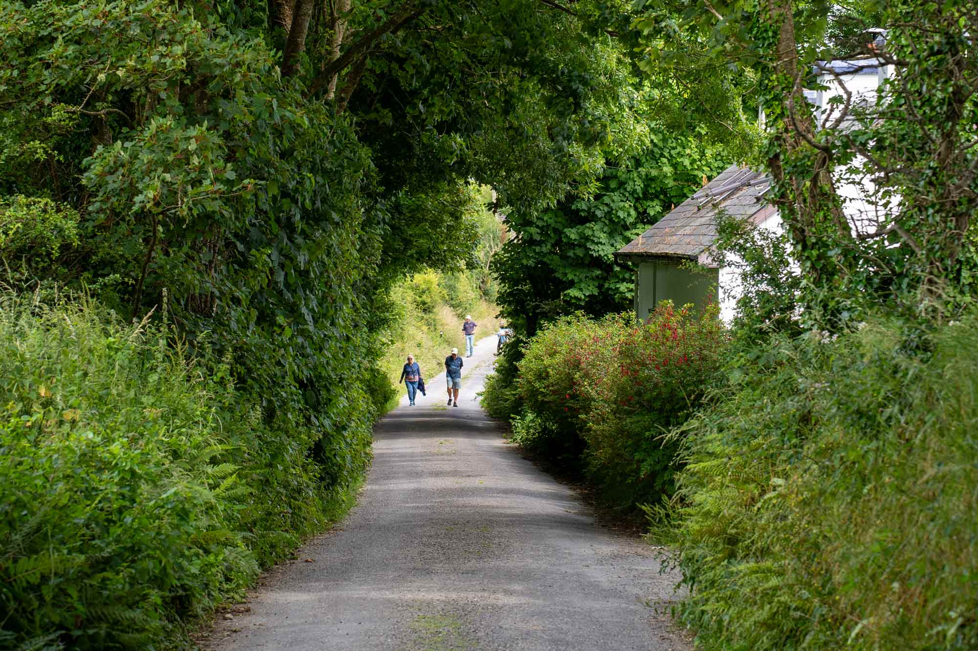 West Cork