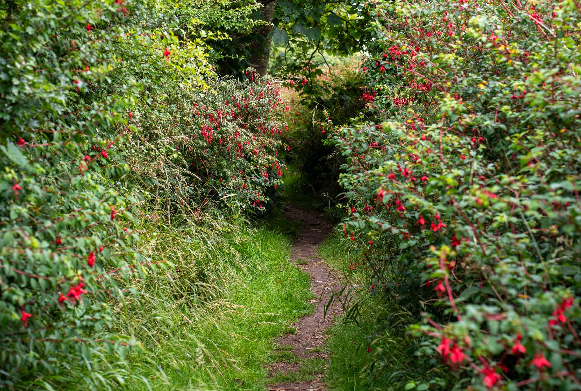 West Cork