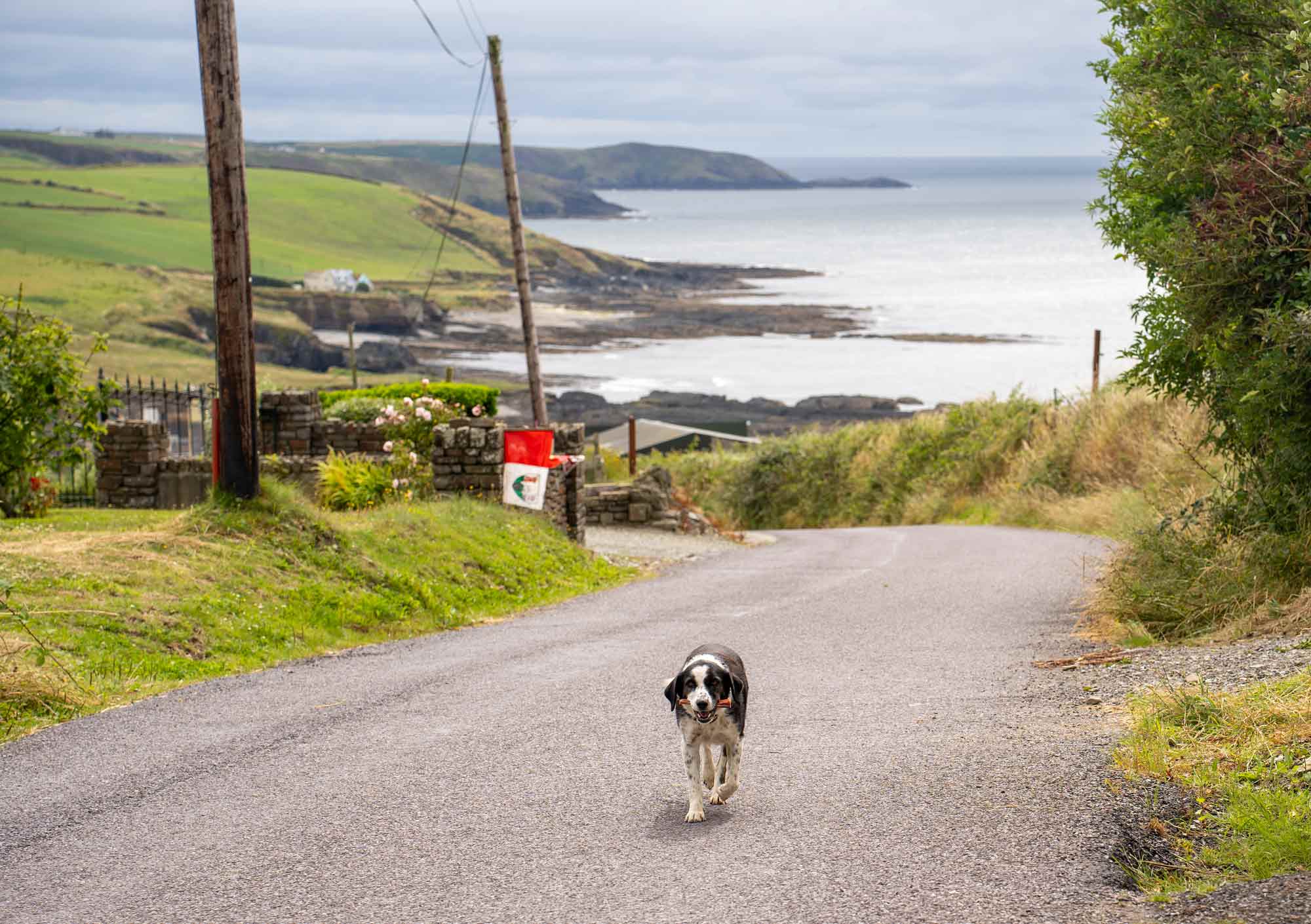 West Cork