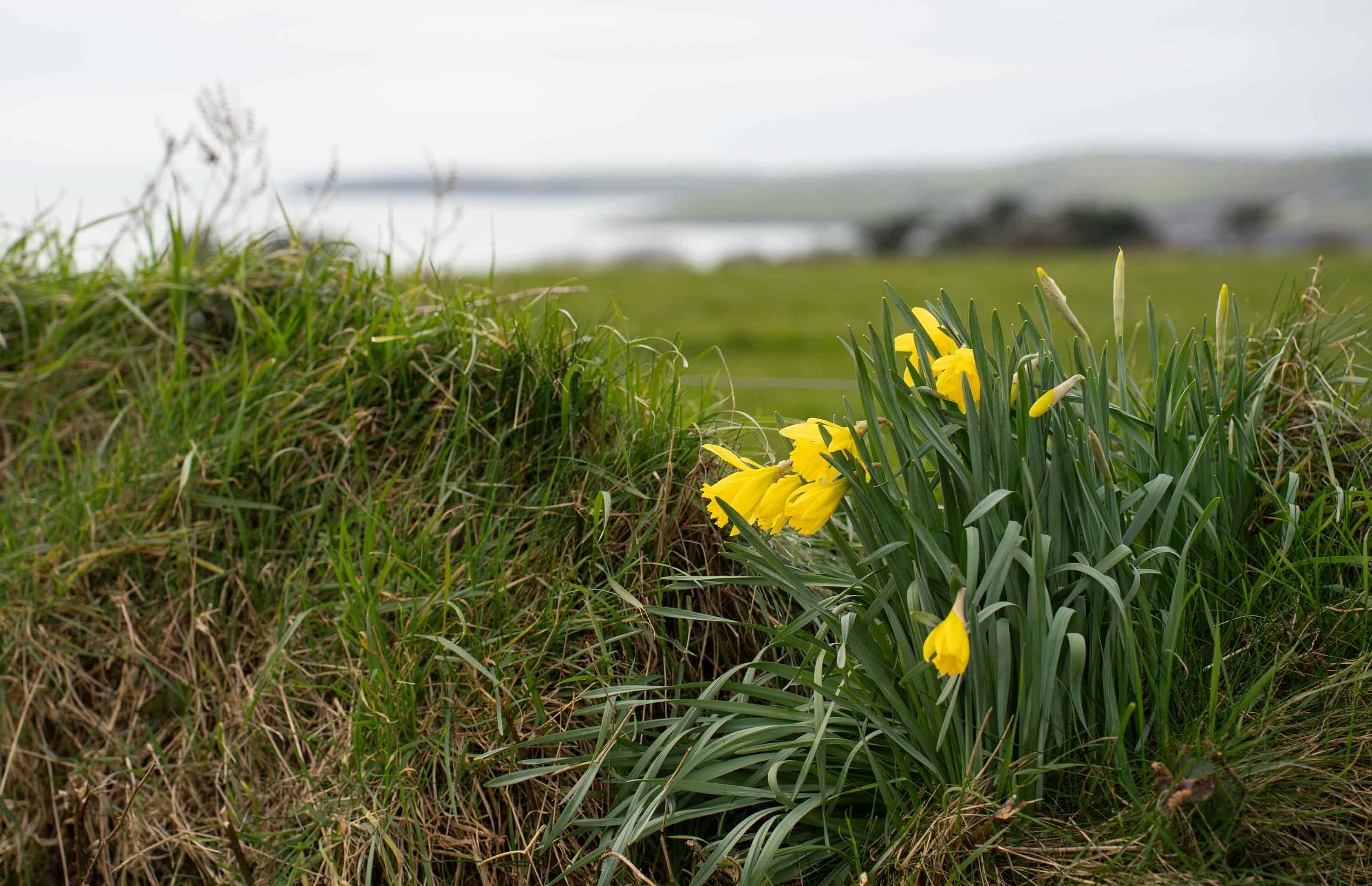 West Cork