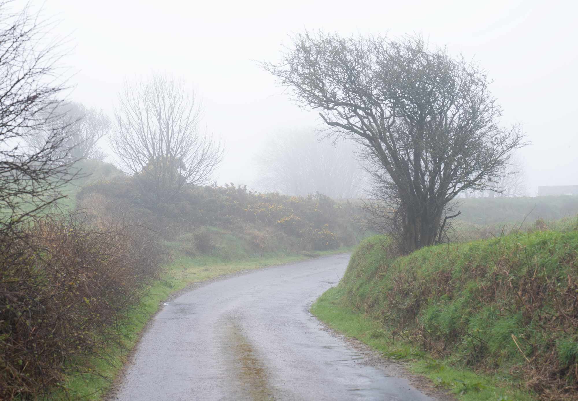 West Cork