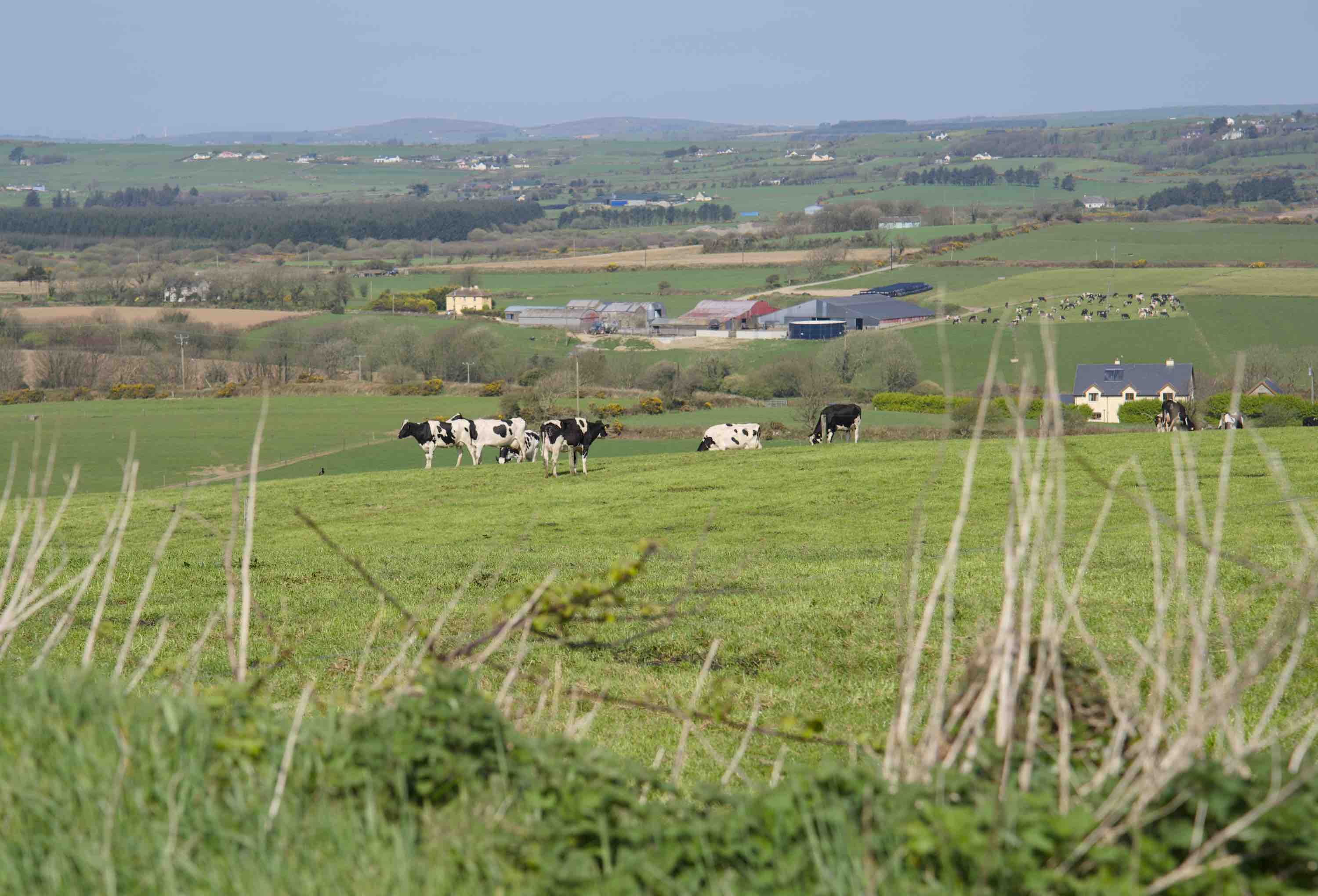 West Cork