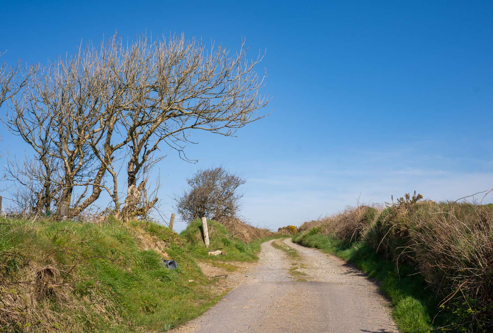 West Cork