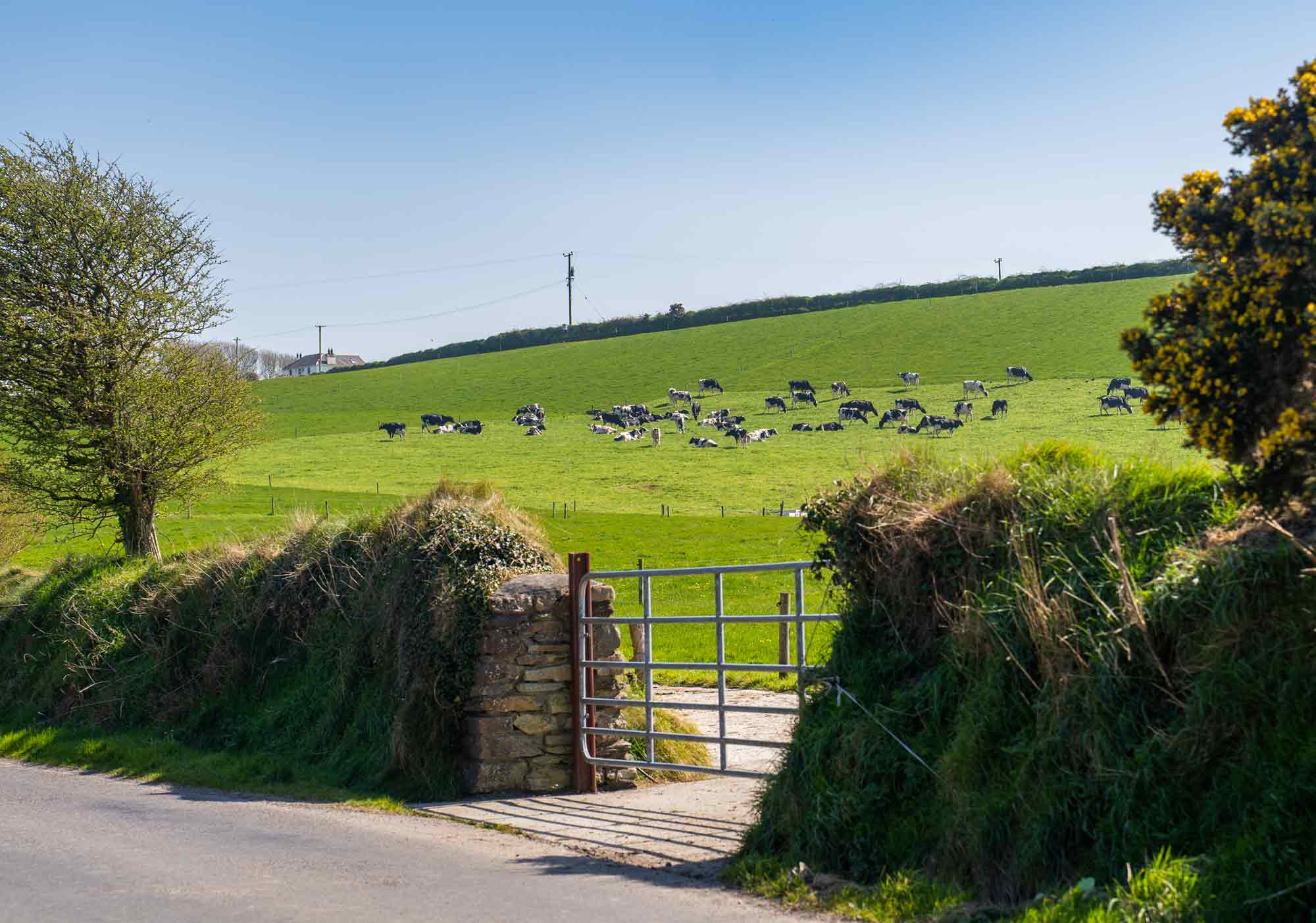 West Cork