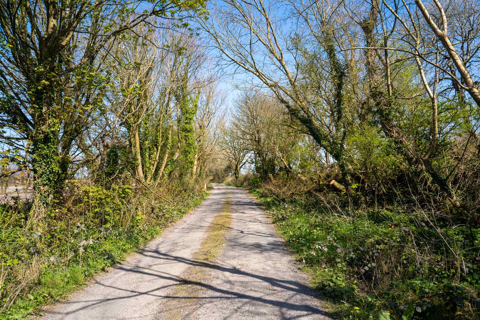 West Cork