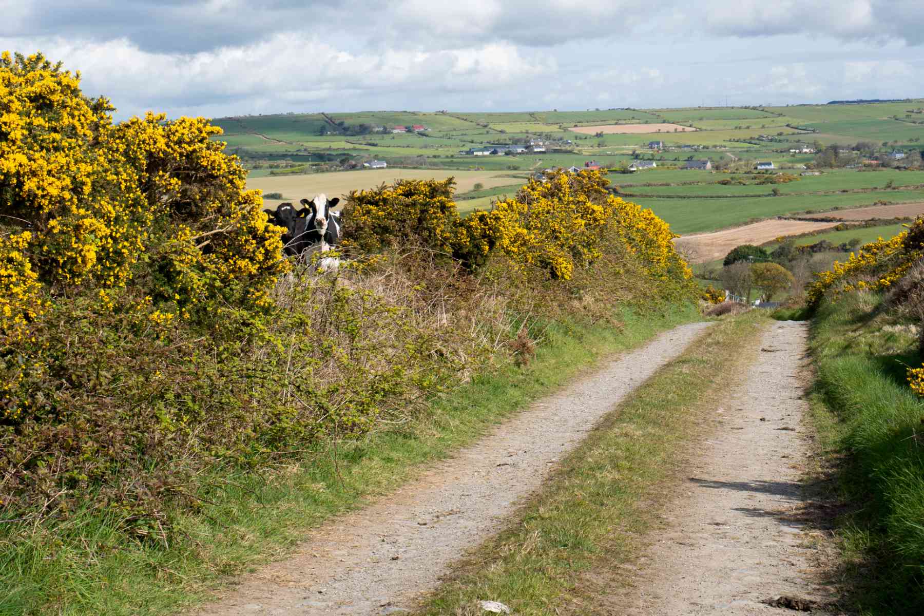West Cork