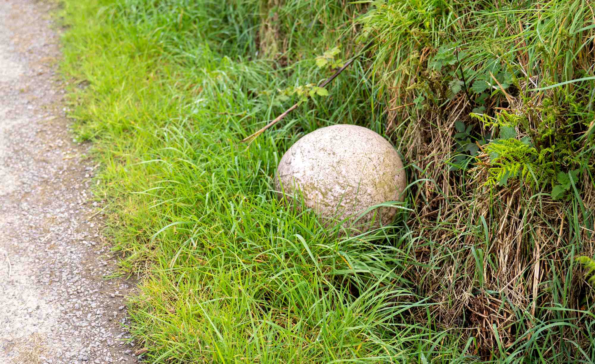 West Cork