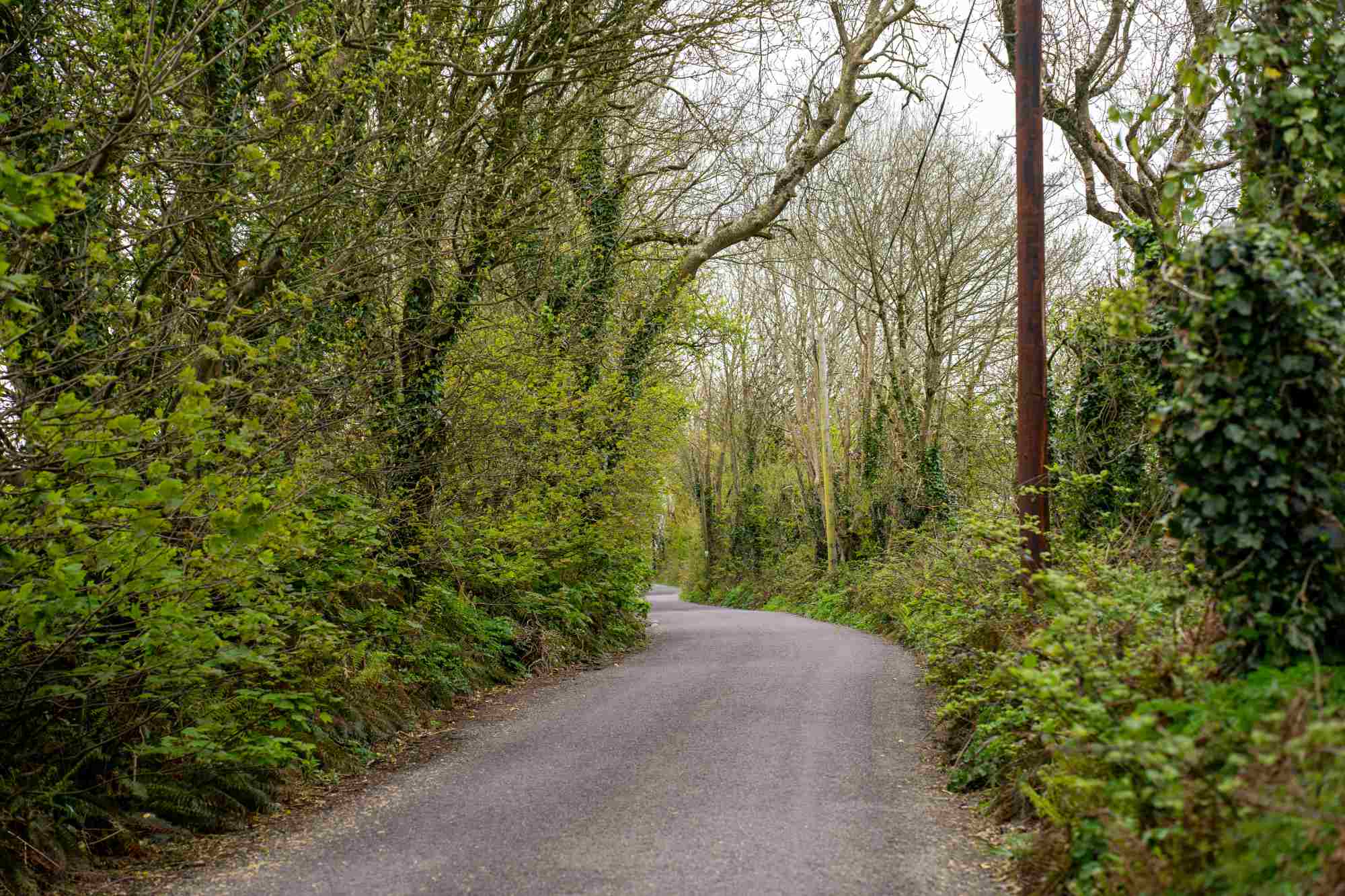 West Cork