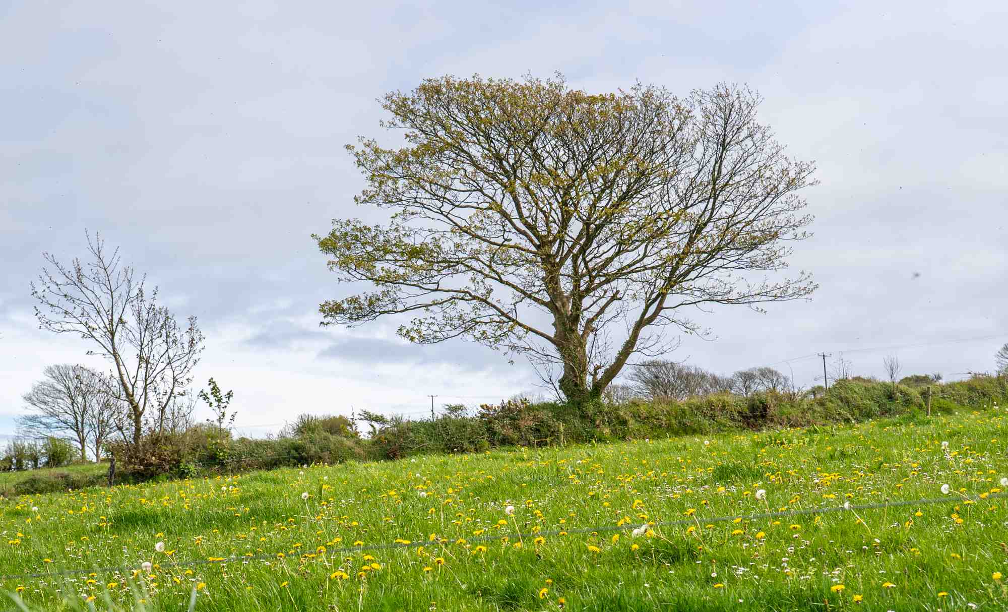 West Cork