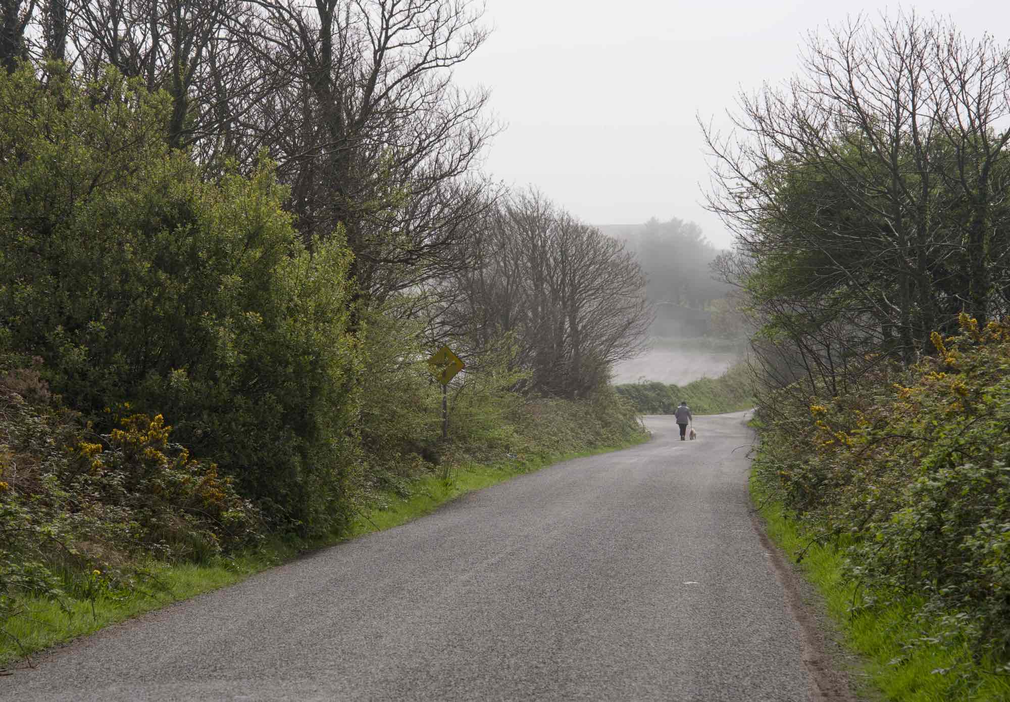 West Cork