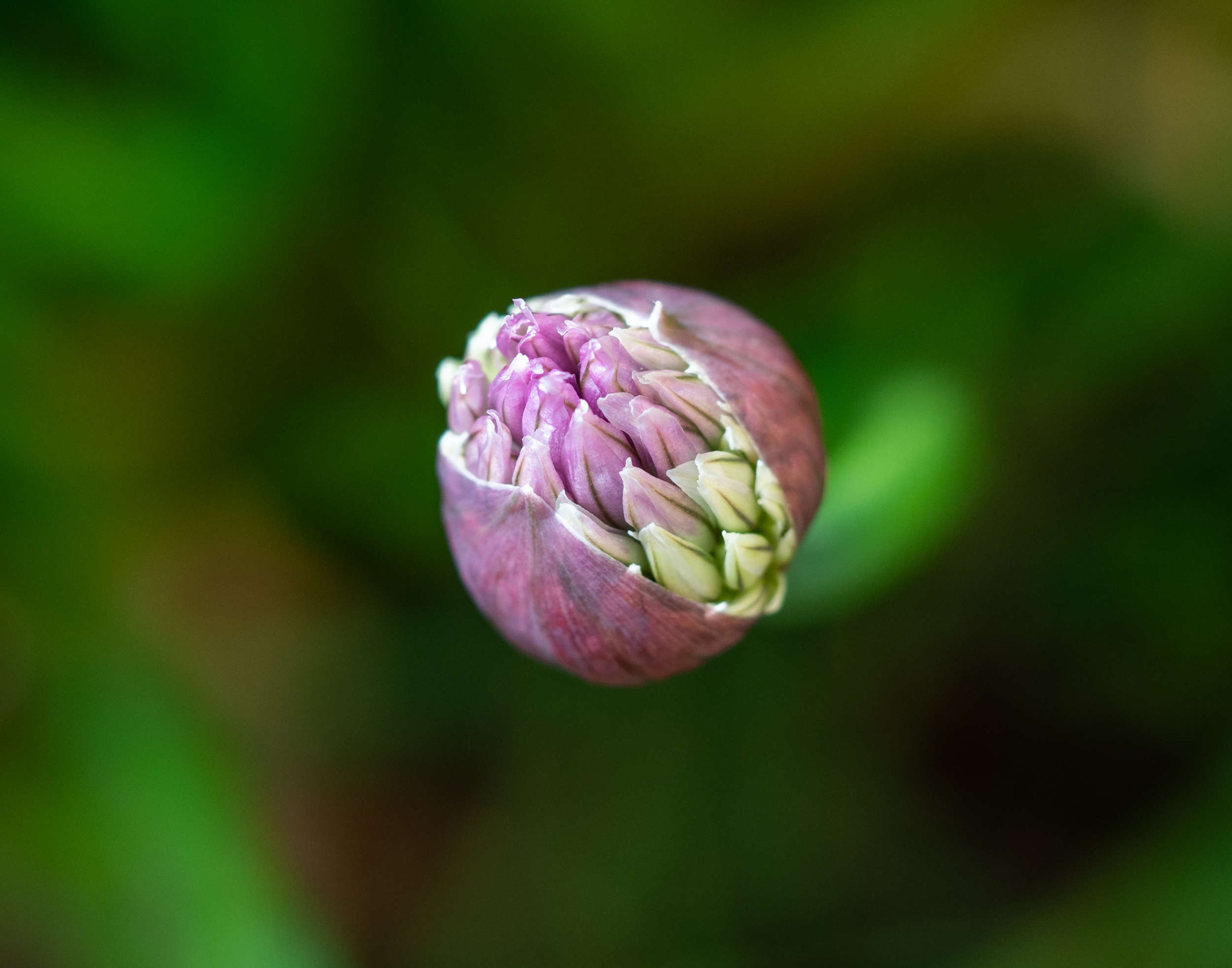 Another kind of photography project
