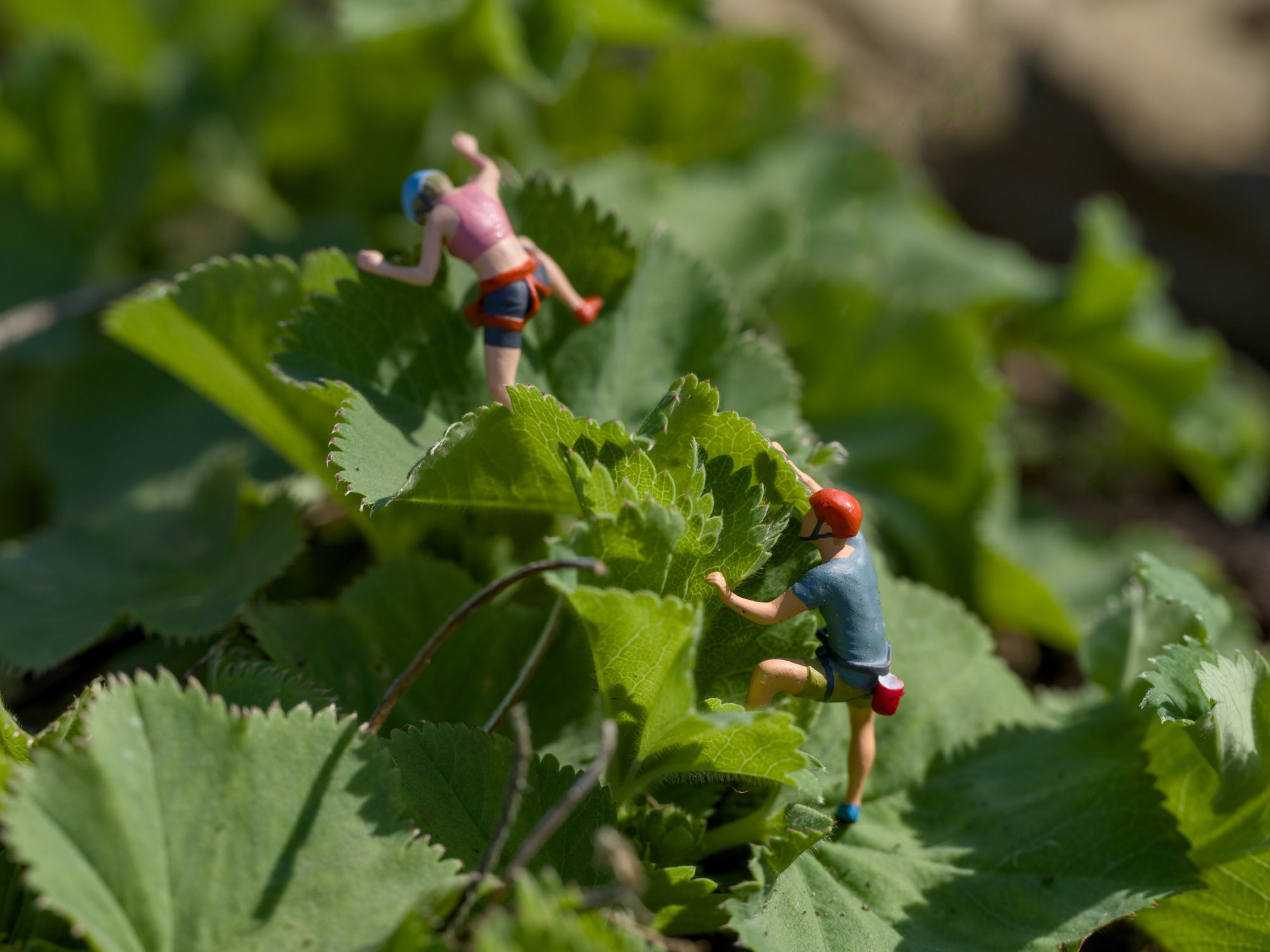 Figurine photography