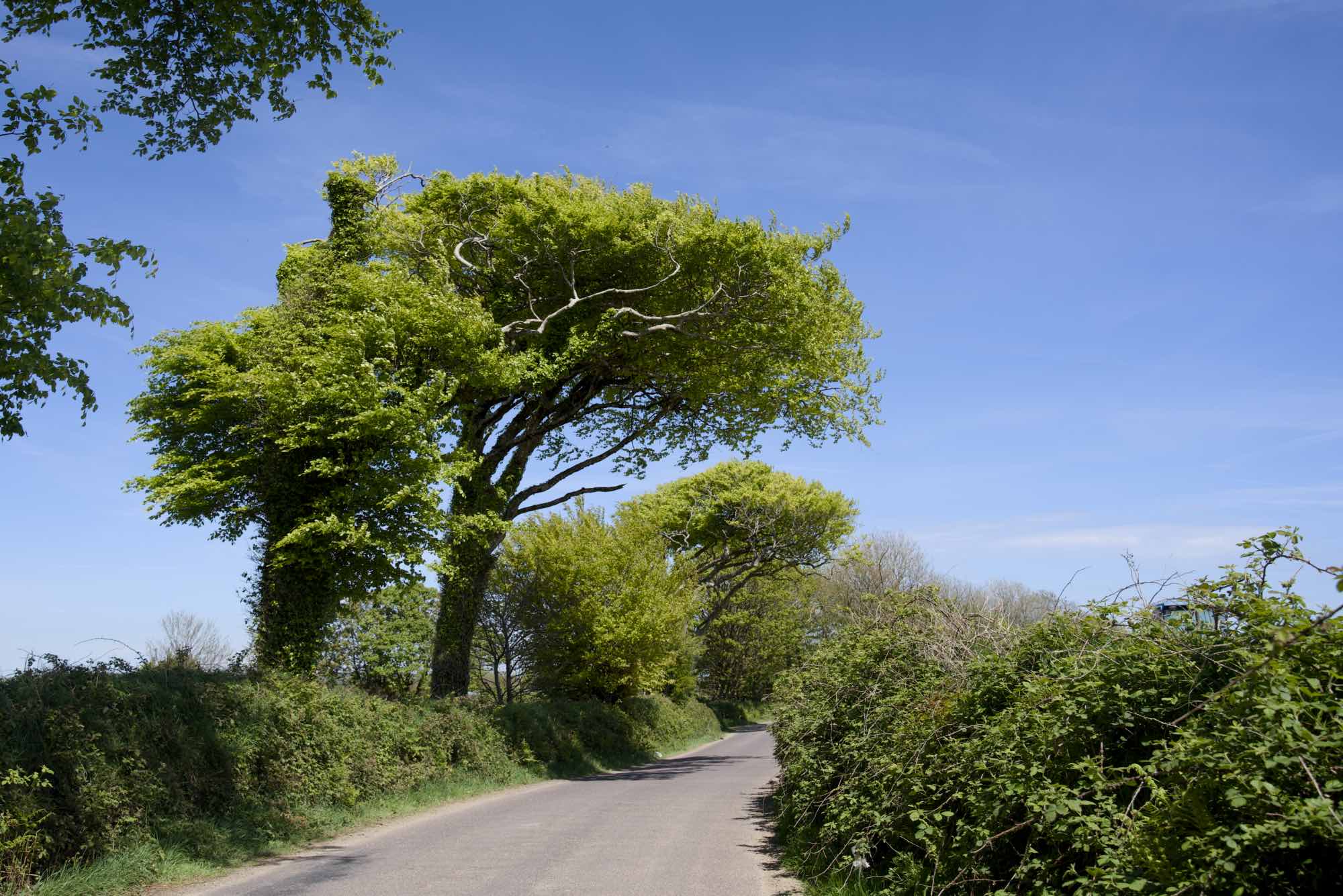 West Cork