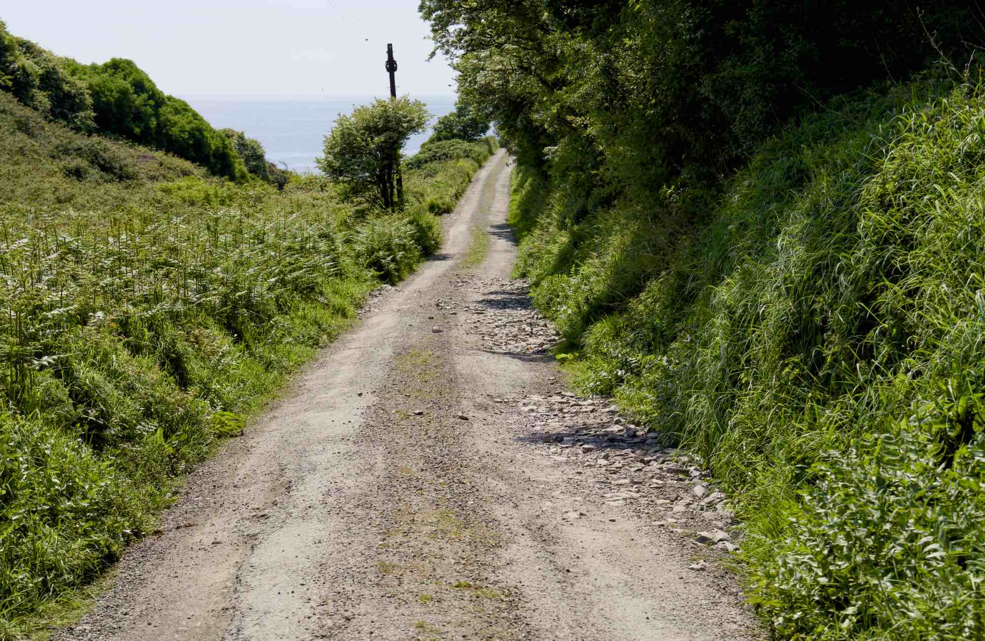 West Cork
