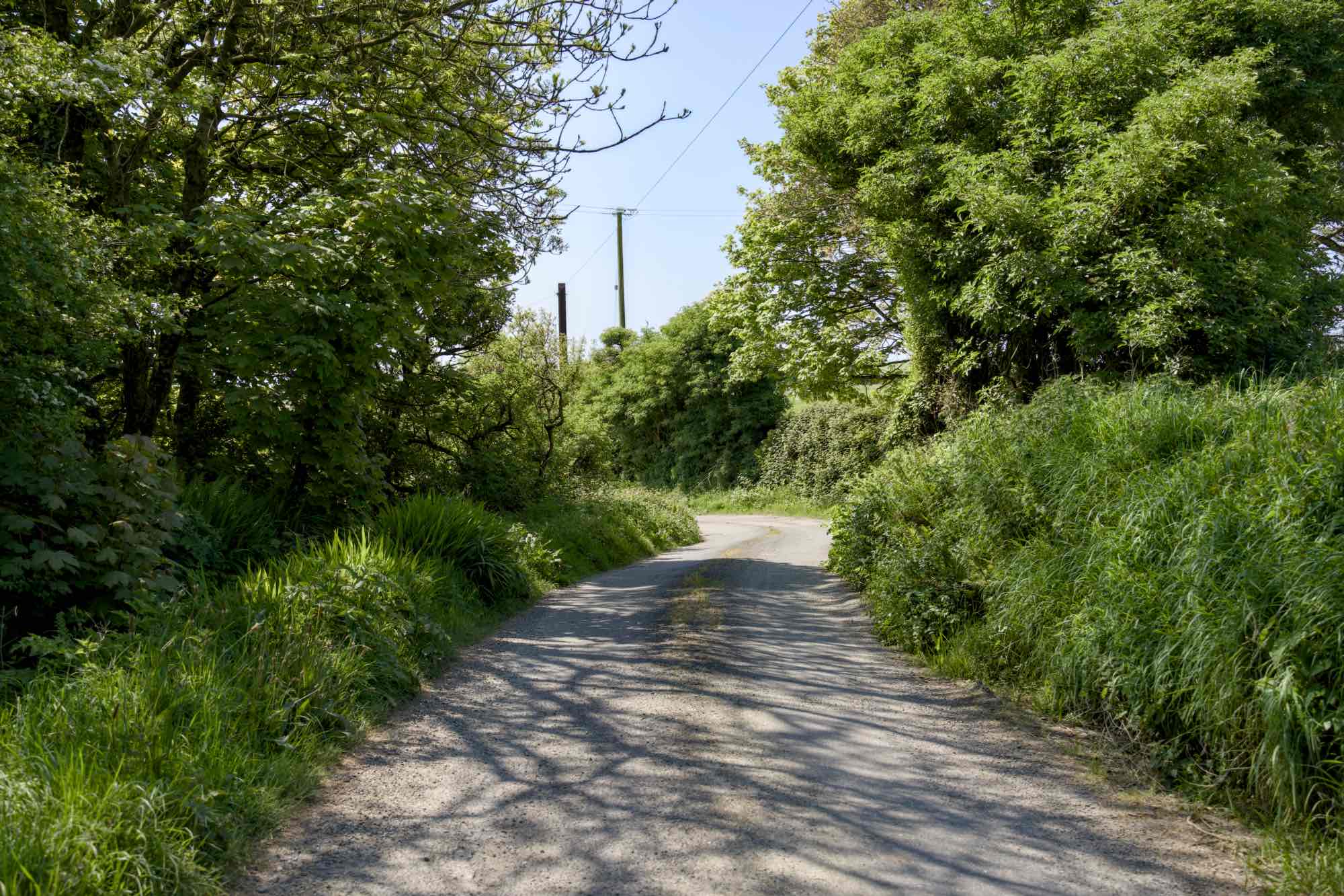 West Cork