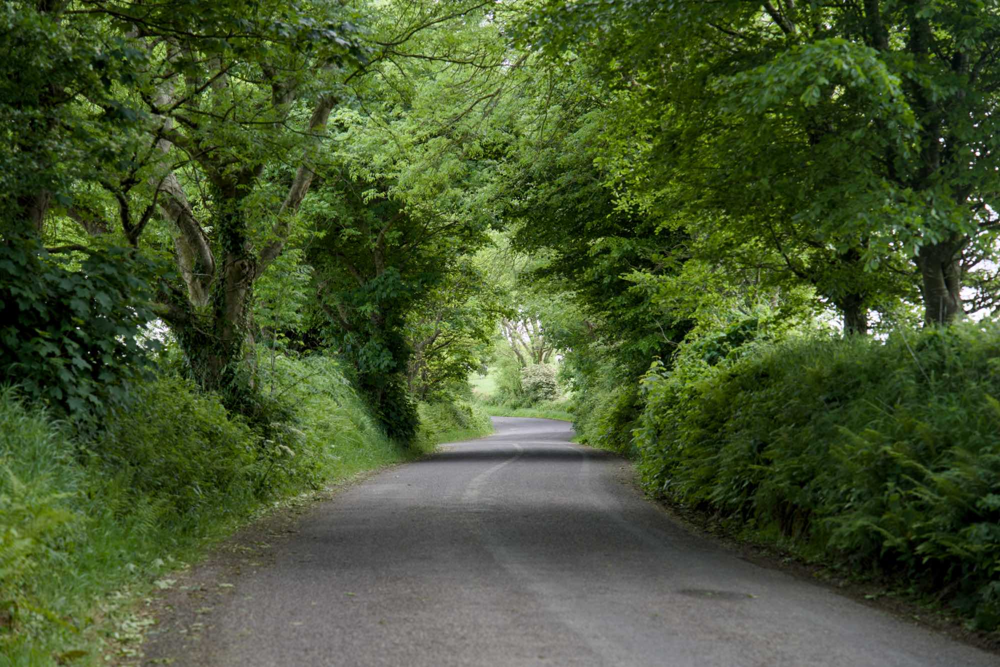 West Cork