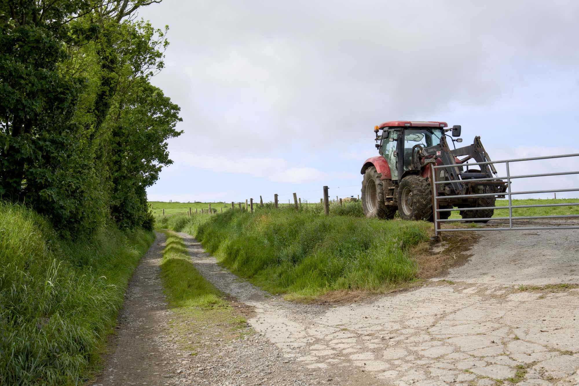 West Cork