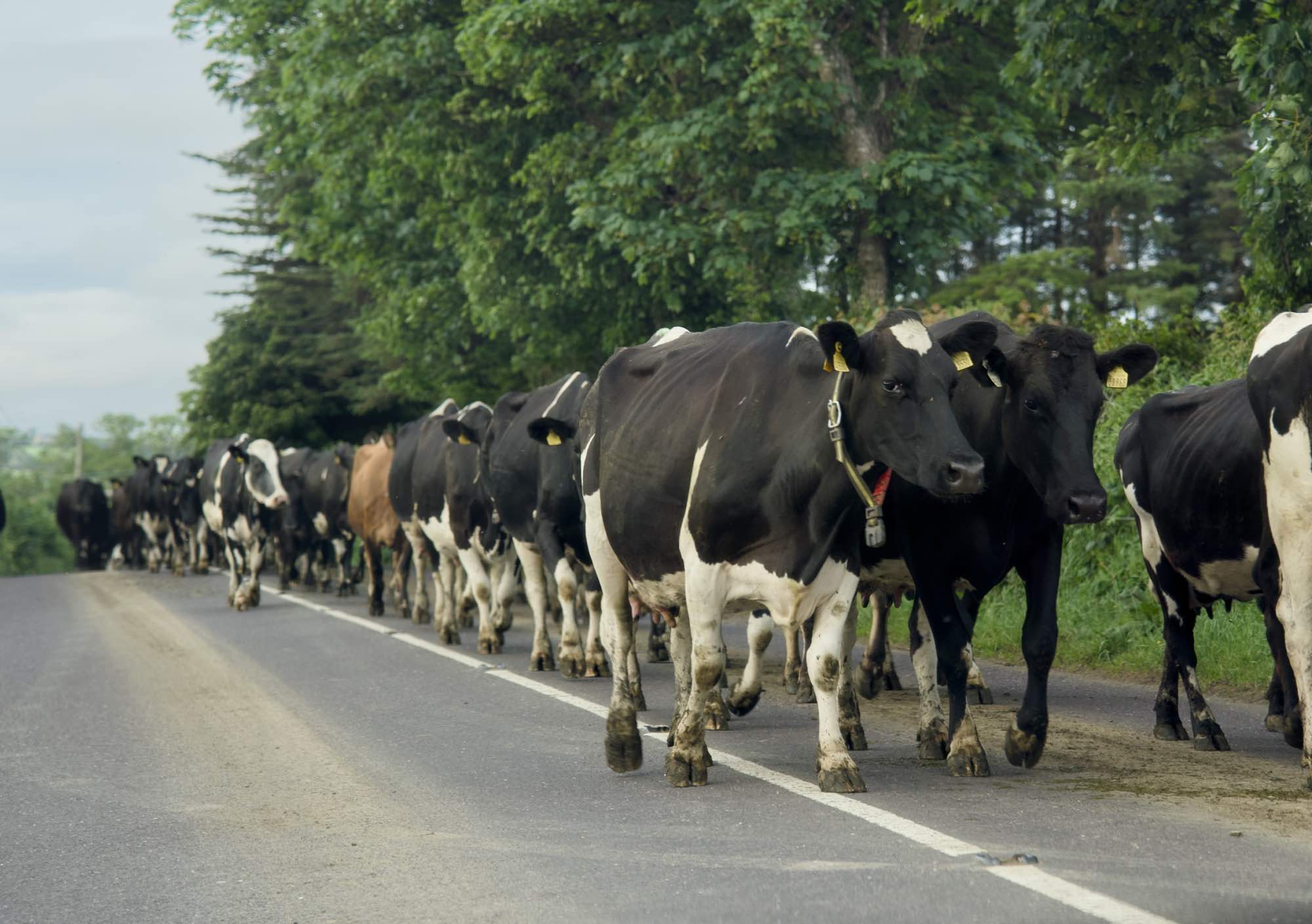 West Cork