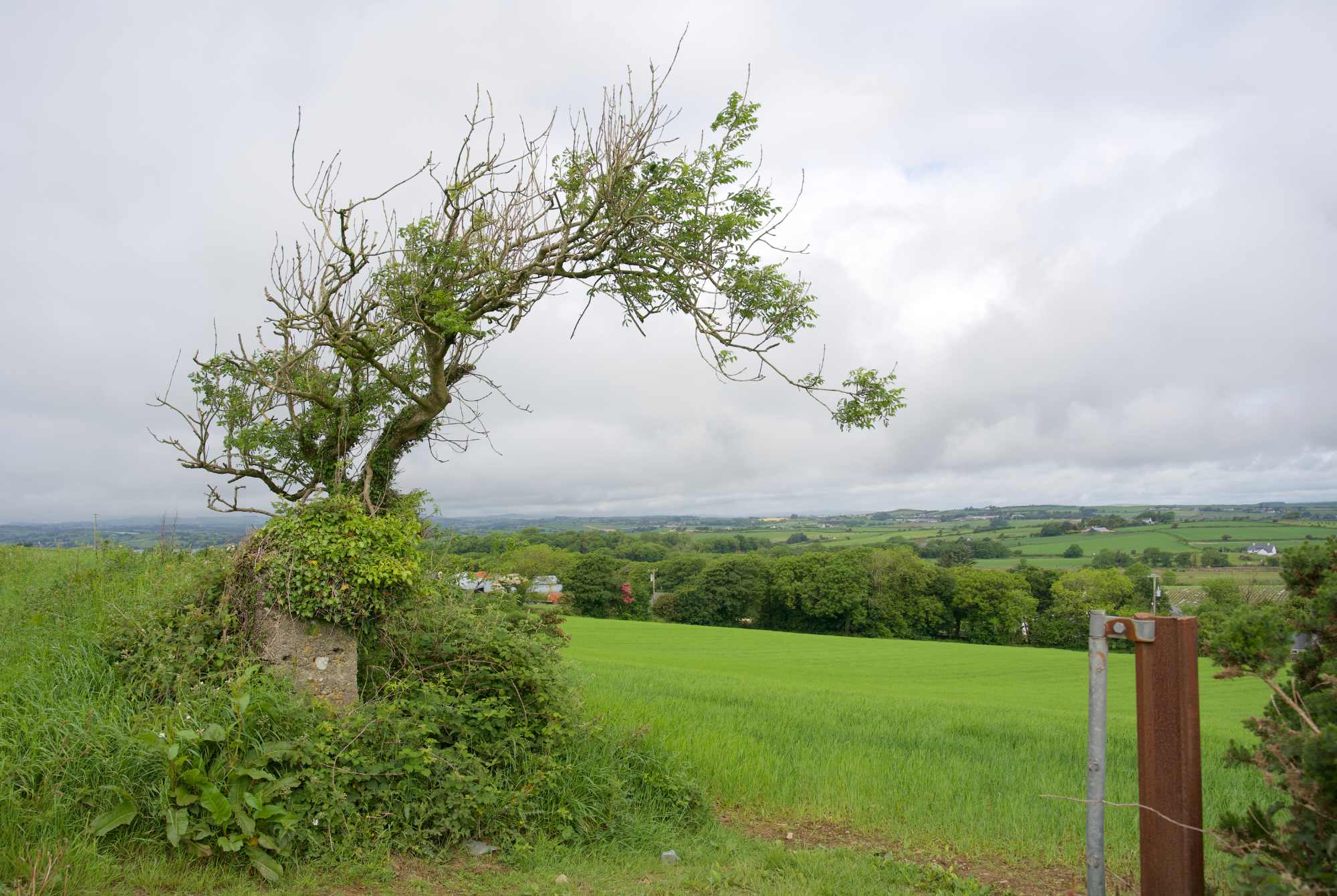 West Cork