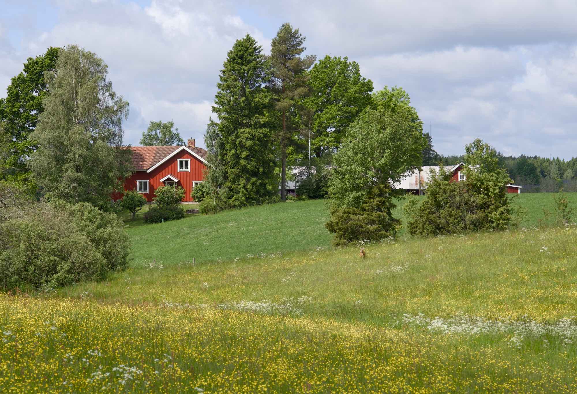 Sweden