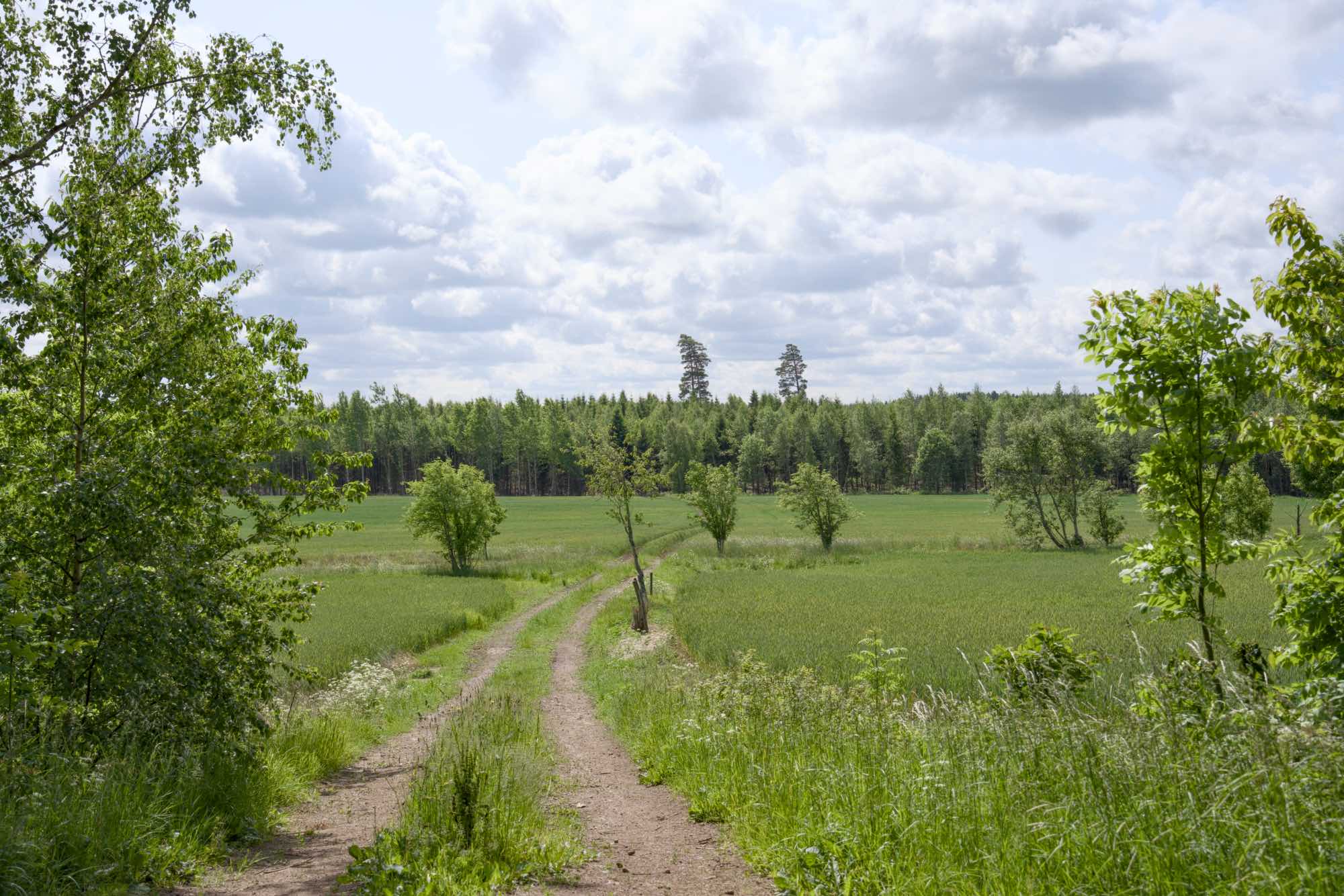 Sweden
