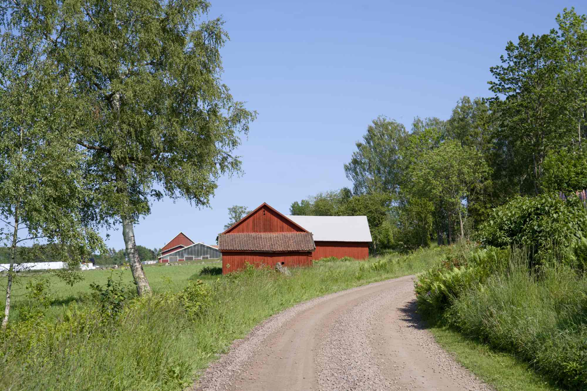Sweden