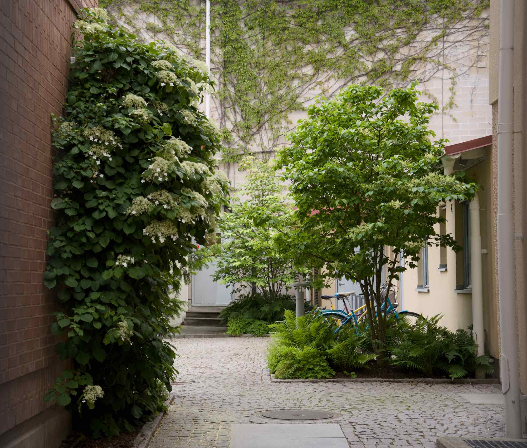 Sweden