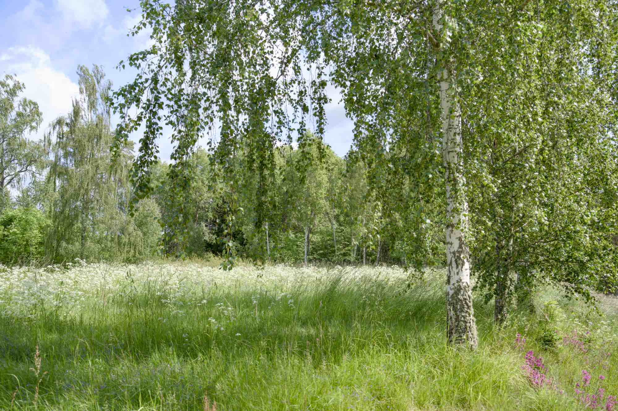 Sweden