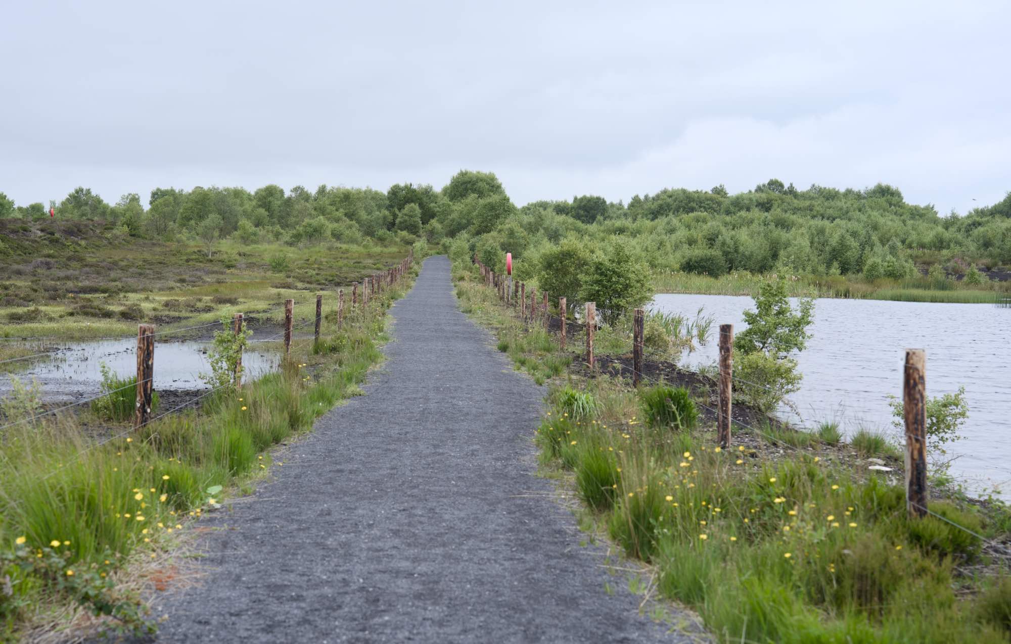 County Longford