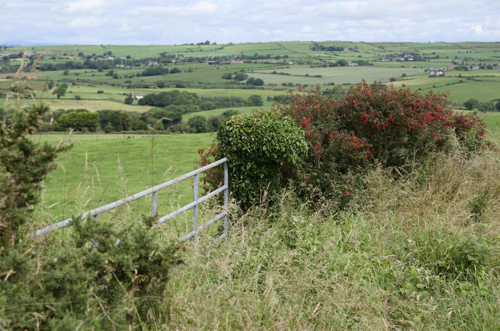 West Cork