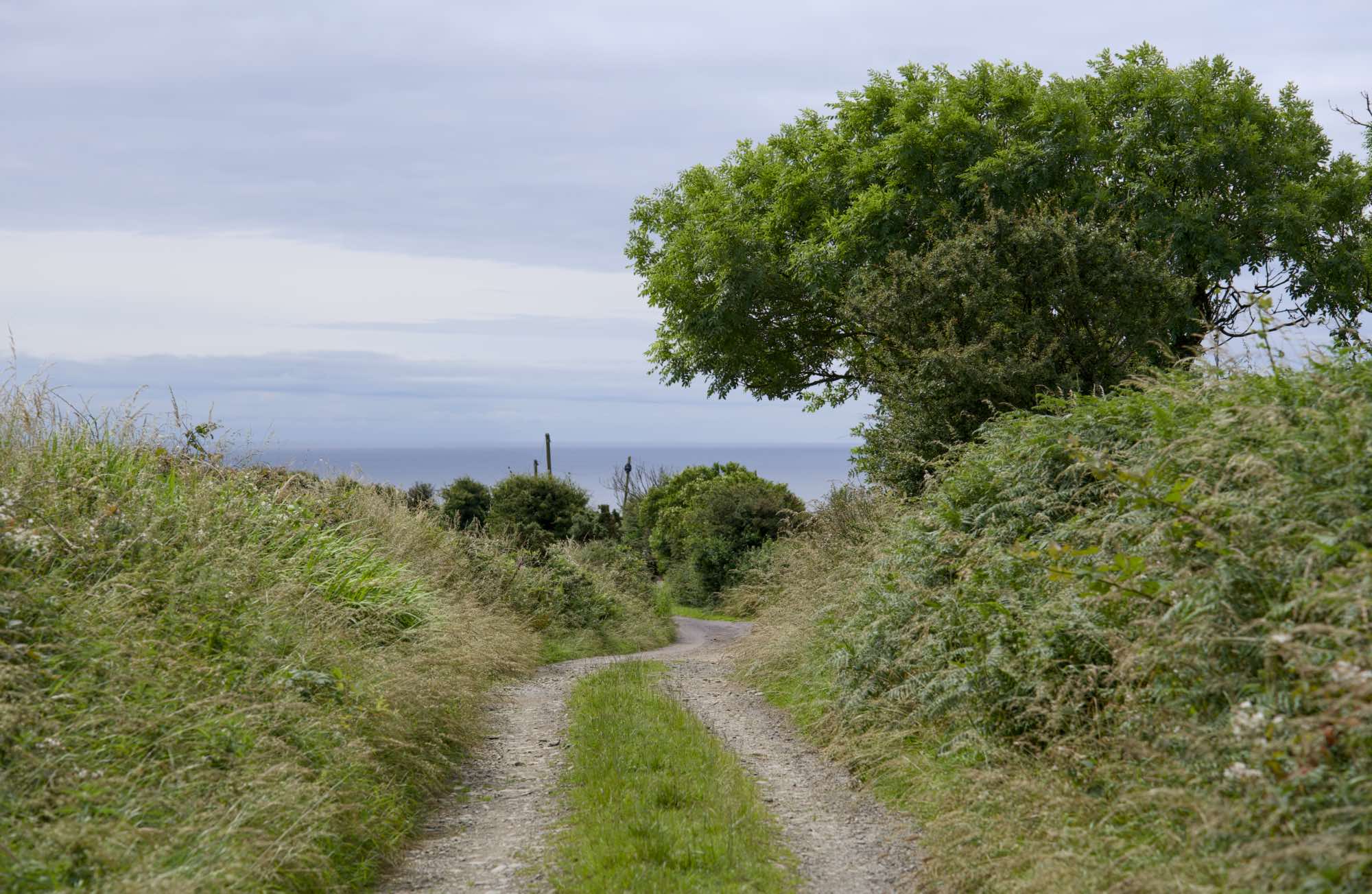 West Cork