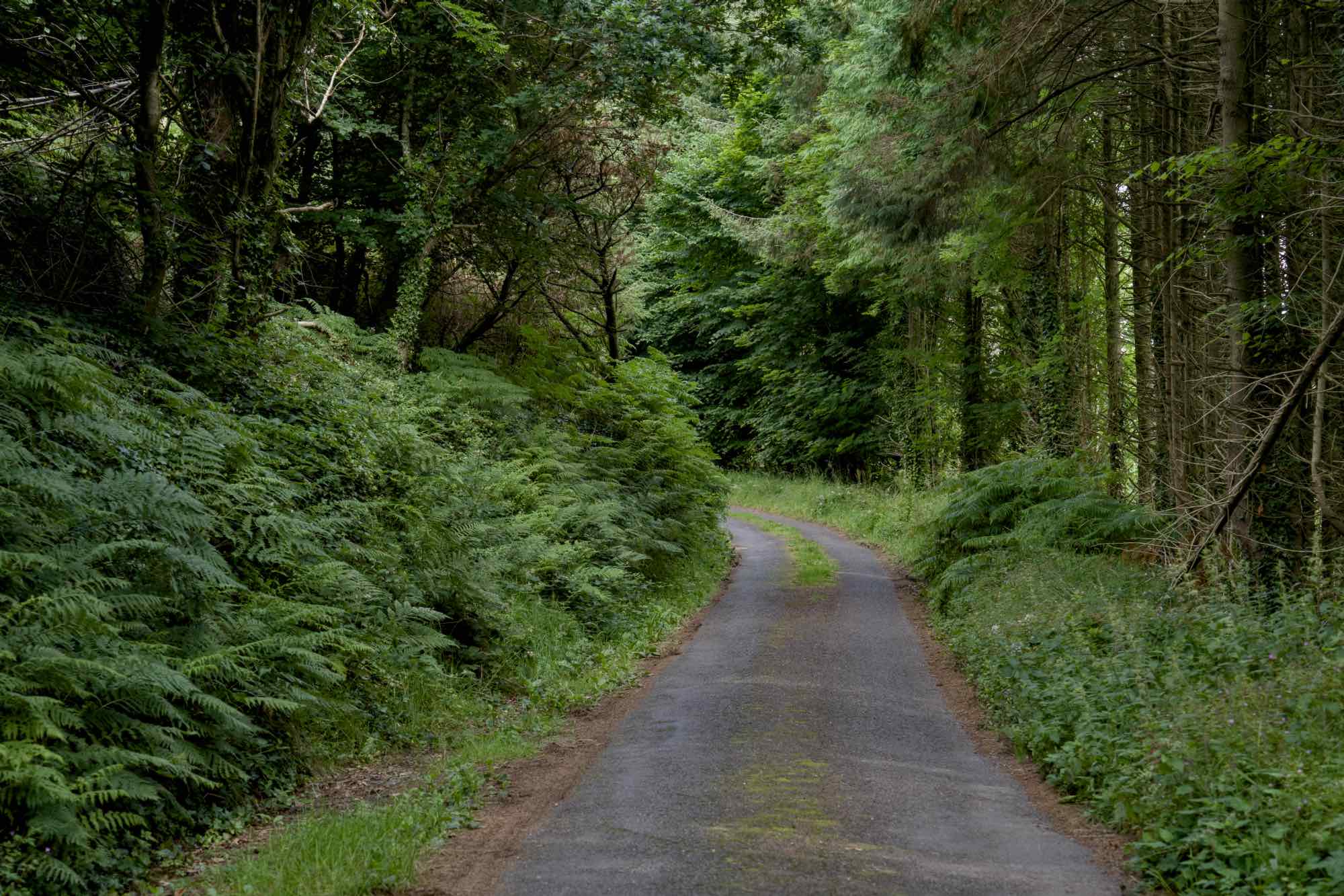 West Cork